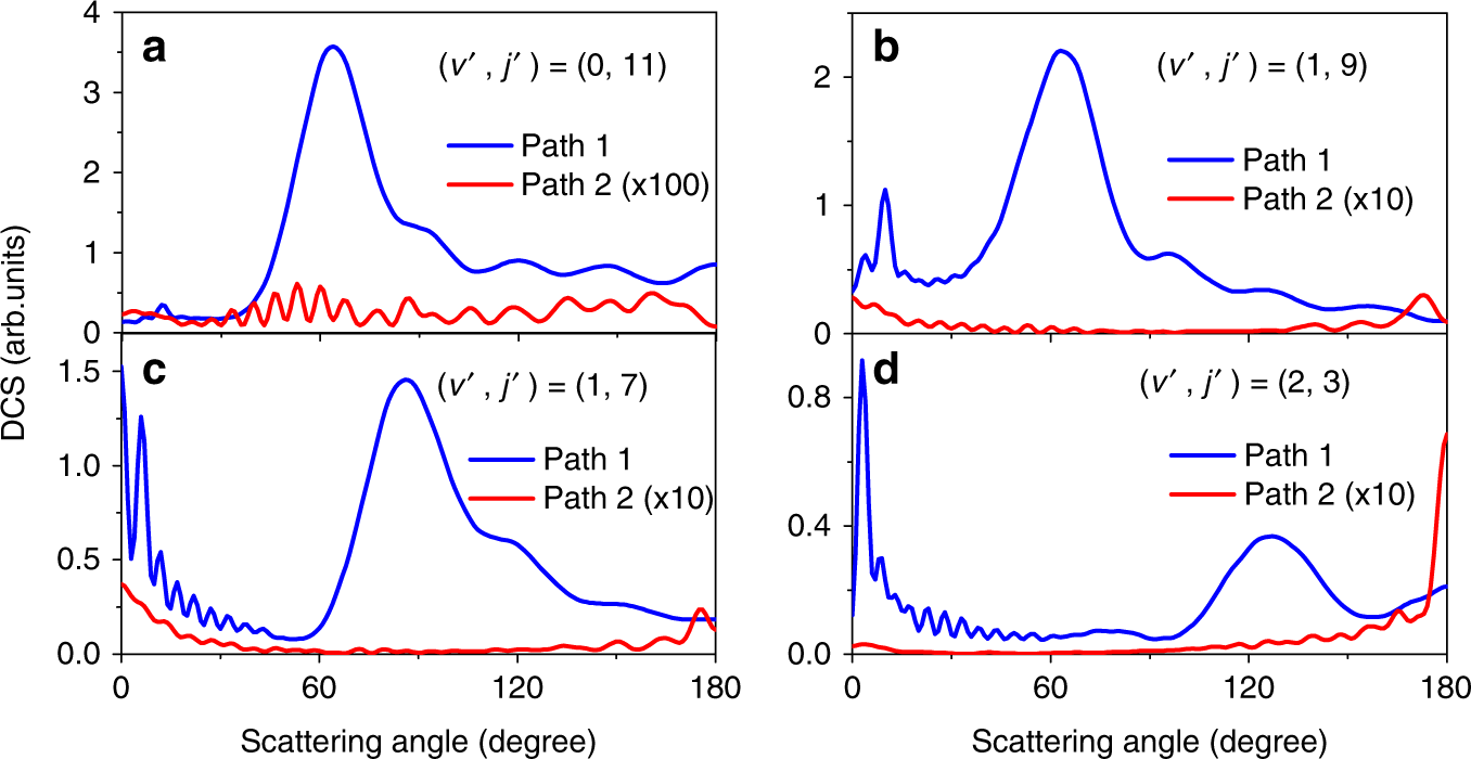 Fig. 4: Relative differential cross sections from Path 1 and Path 2.