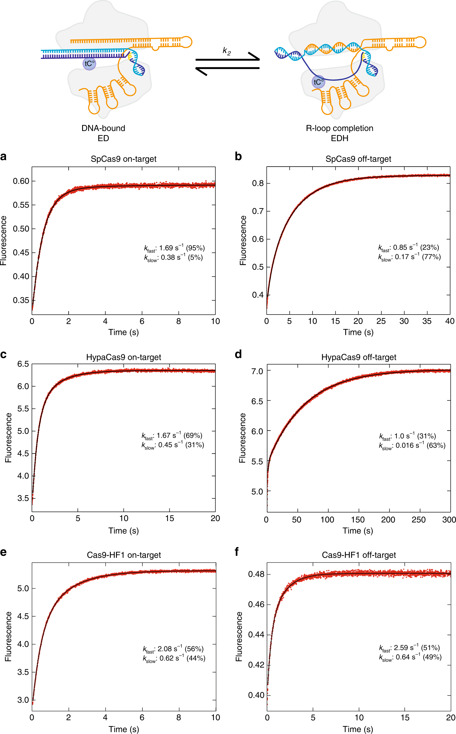 Fig. 2: DNA unwinding rates are nearly identical for on-targets and off-targets.