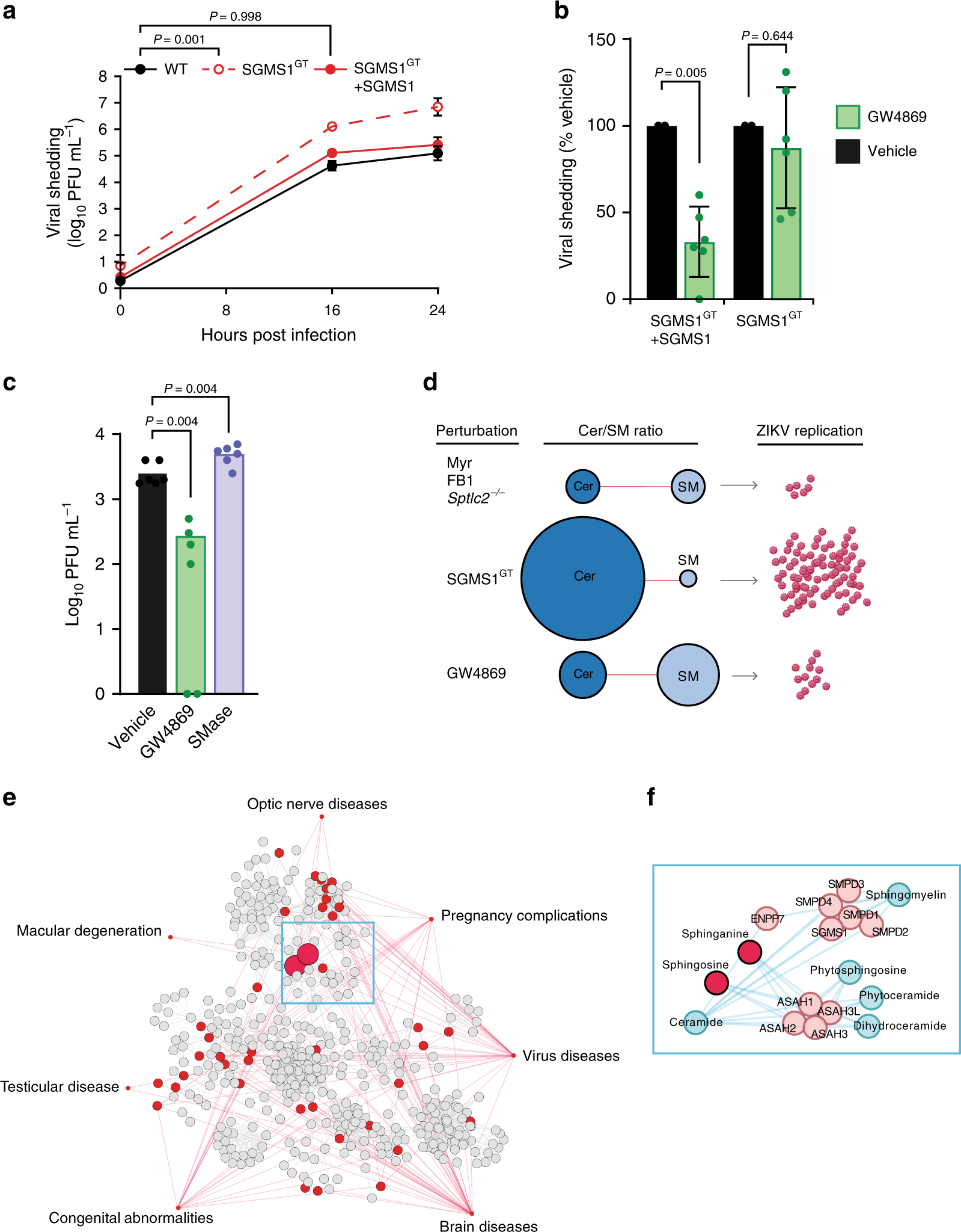 Fig. 6: Elevated ceramide levels increase ZIKV infection.