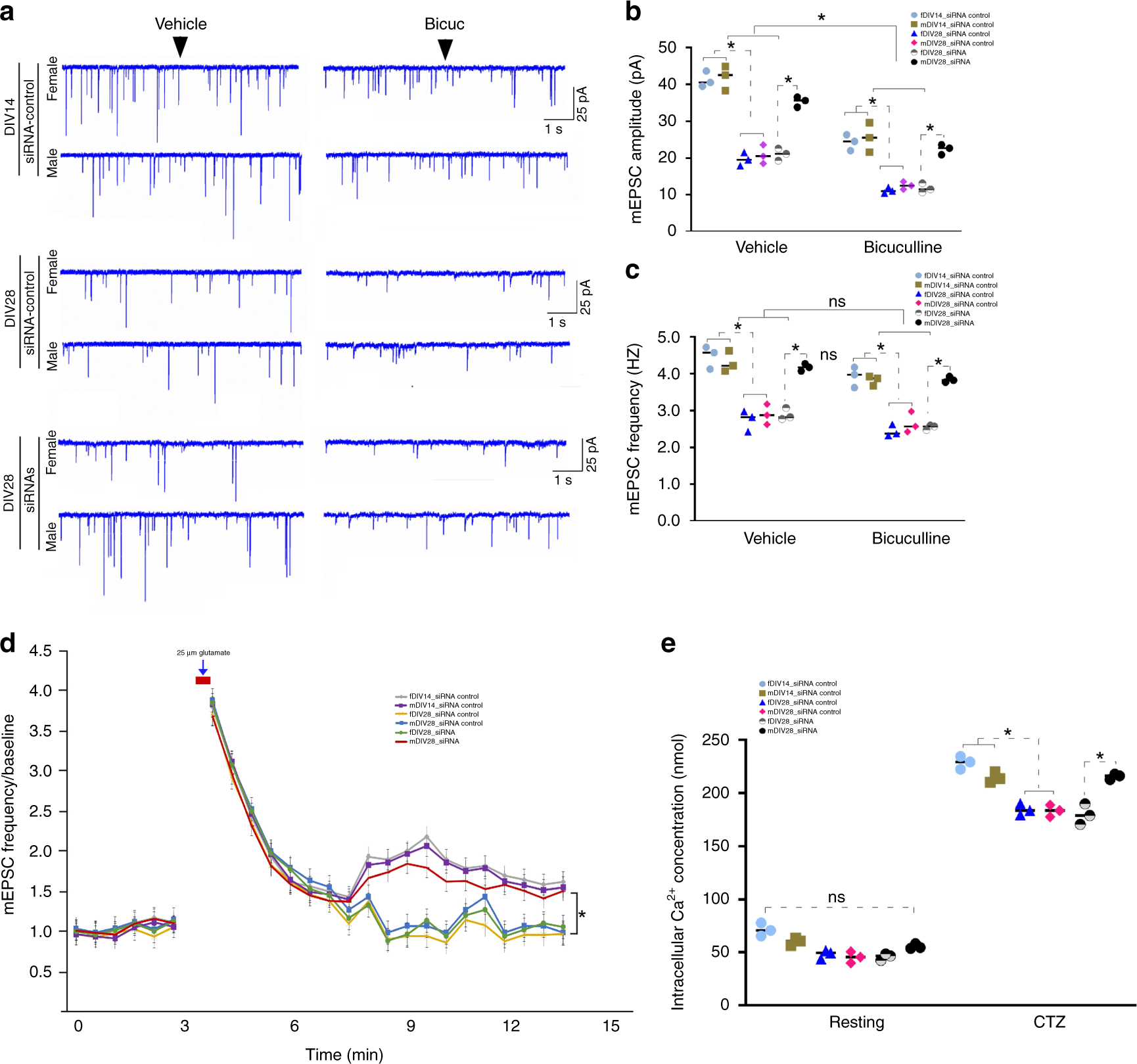 Fig. 7: CircGRIA1 regulates synaptic plasticity and calcium homeostasis.