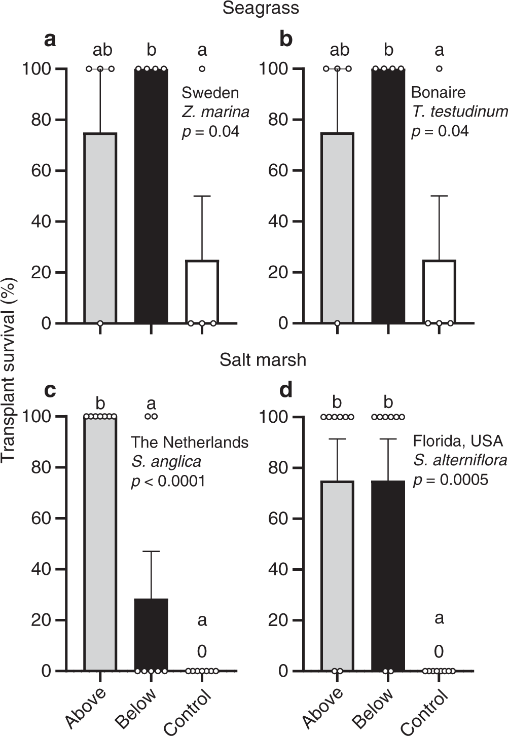 Fig. 2: Transplant survival.