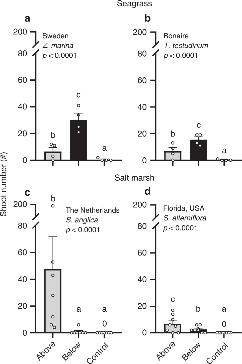 Fig. 3: Seagrass and cordgrass transplant shoot numbers.