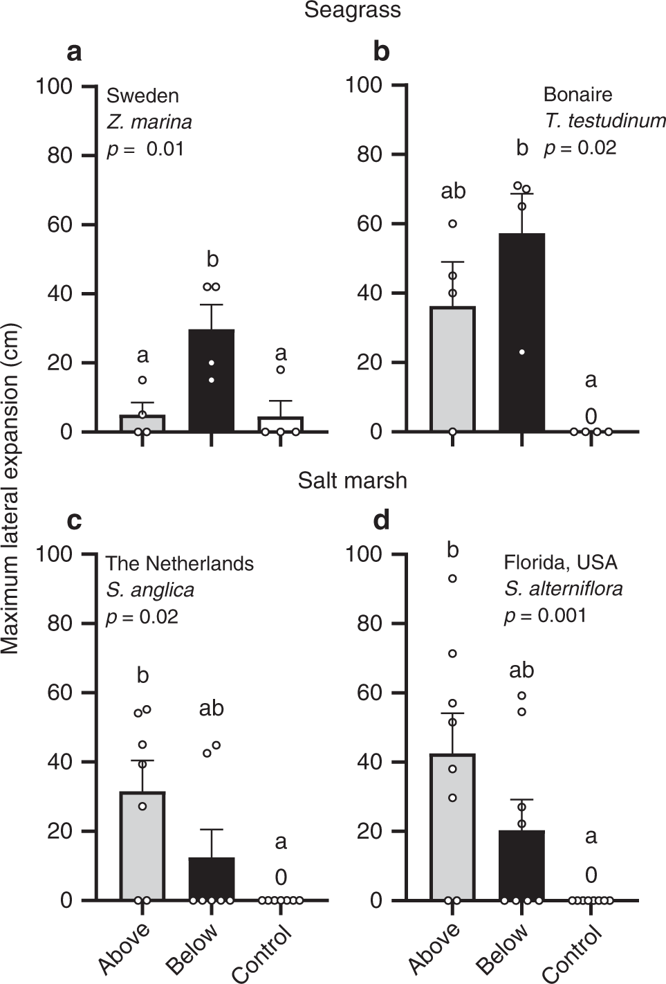 Fig. 4: Maximum lateral expansion of the transplants.