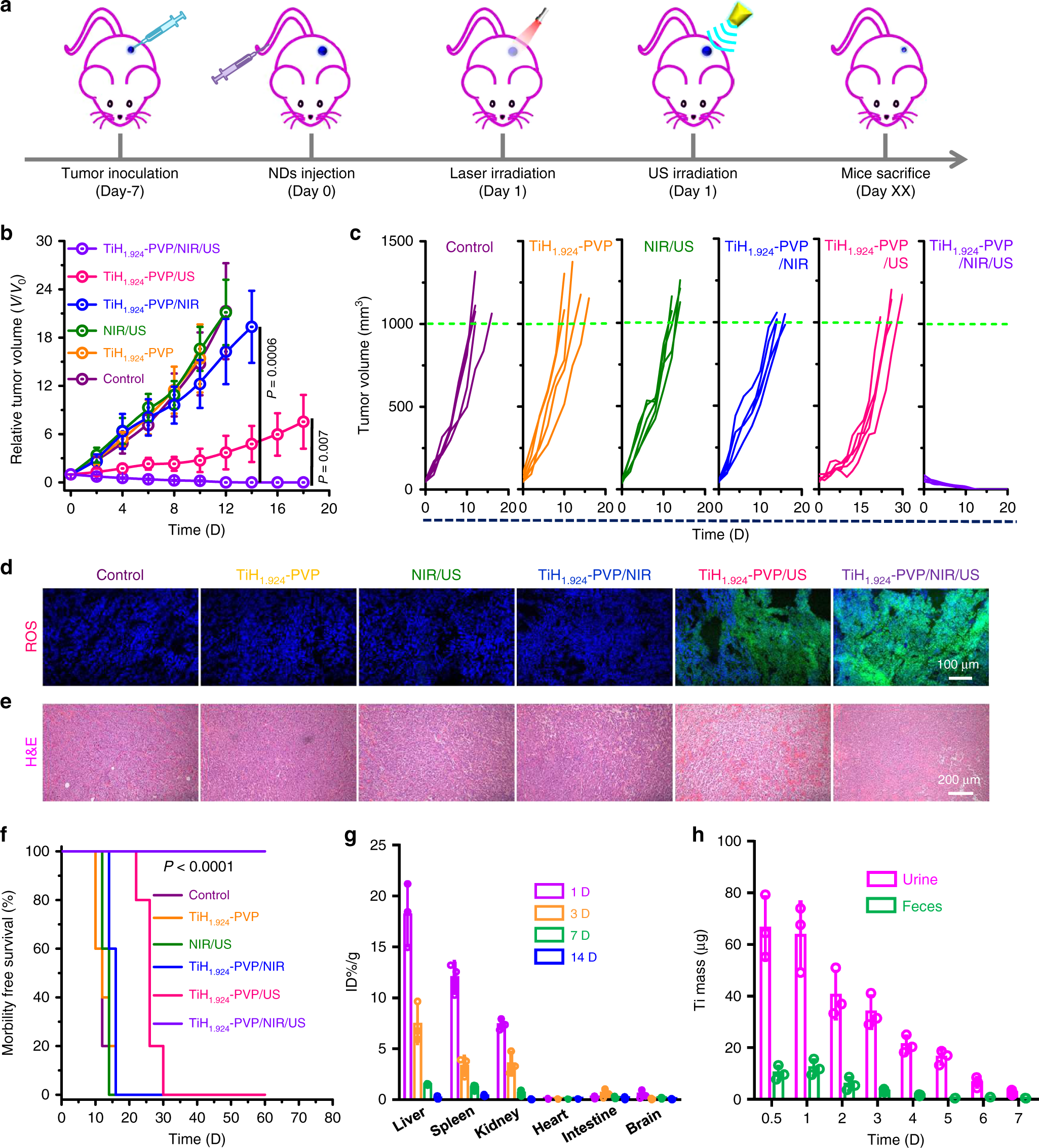 Fig. 6: In vivo mild PTT-enhanced SDT via TiH1.924-PVP.