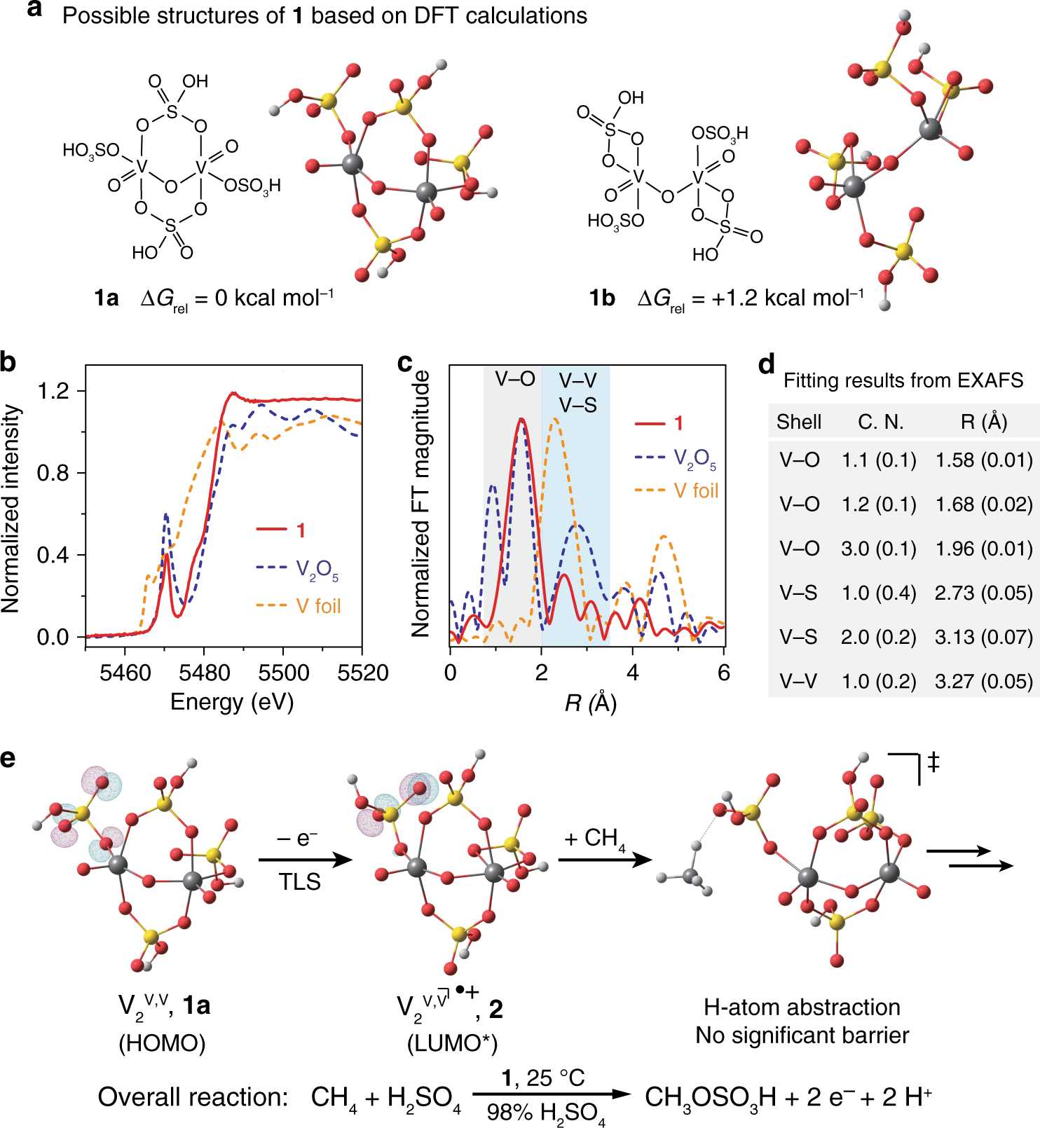Fig. 4: Structural information of the catalyst and a proposed mechanism.