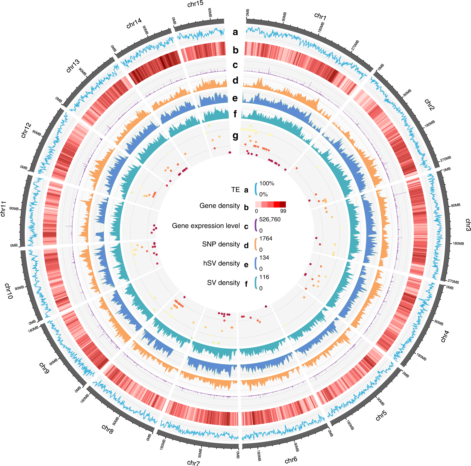 Fig. 1: Features of DASZ genome and mQTL distributions.