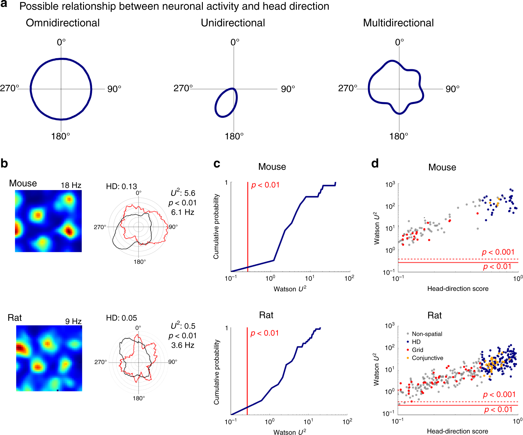 Grid Cells Are Modulated By Local Head Direction Nature Communications Grid Cells Are Modulated By Local Head Direction Nature Communications