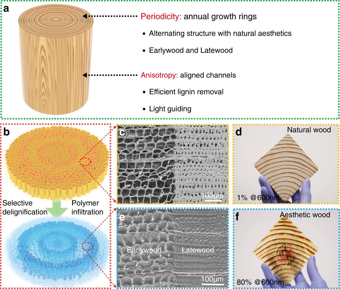 Scalable aesthetic transparent wood for energy efficient buildings | Nature  Communications