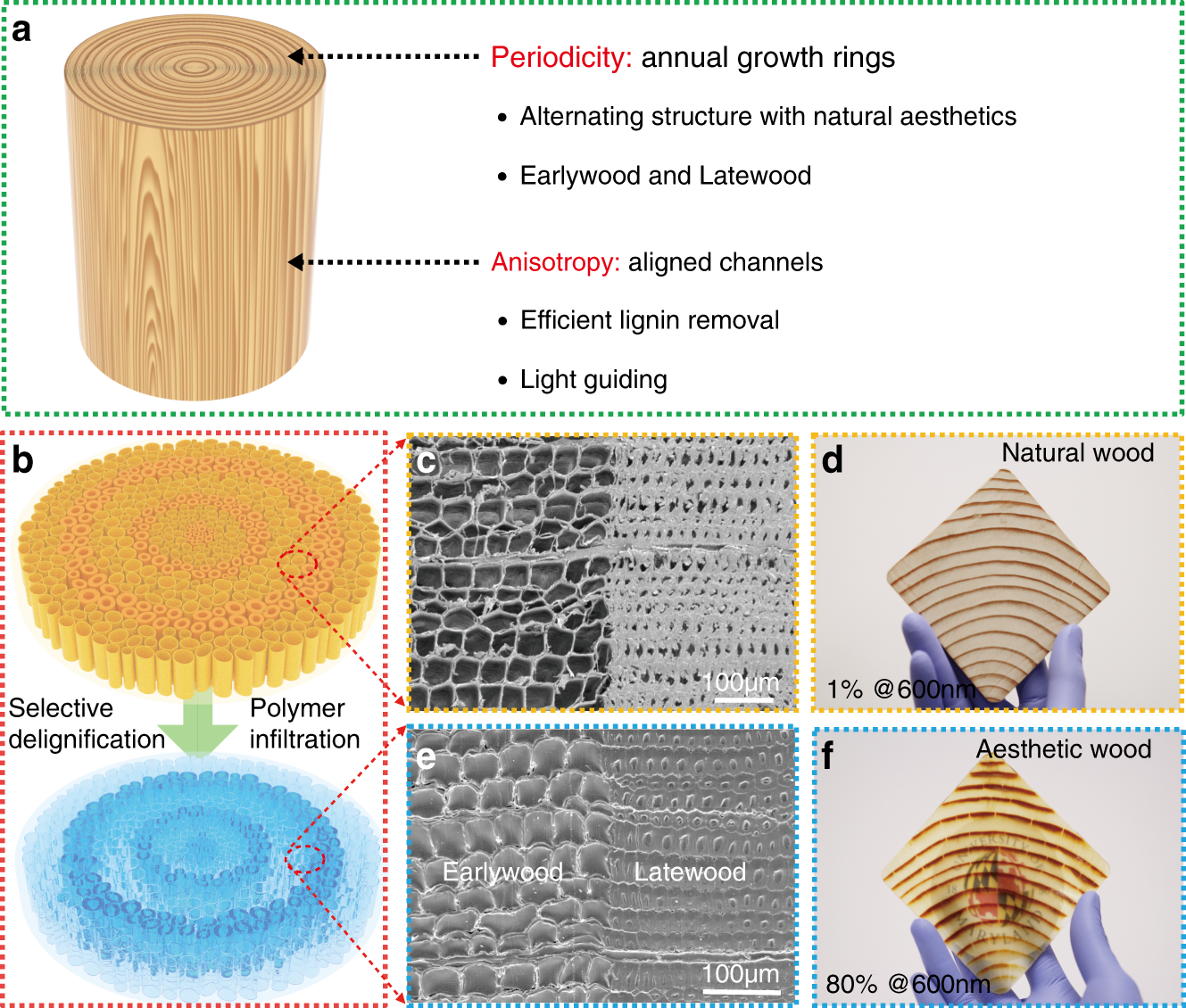 https://media.springernature.com/full/springer-static/image/art%3A10.1038%2Fs41467-020-17513-w/MediaObjects/41467_2020_17513_Fig1_HTML.png