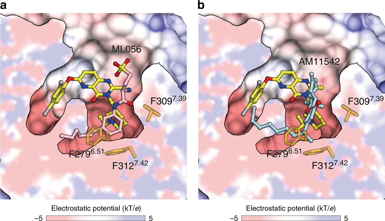 Fig. 5: Comparison of ligand–binding modes of the ghrelin receptor, S1P1 receptor, and CB1 receptor.