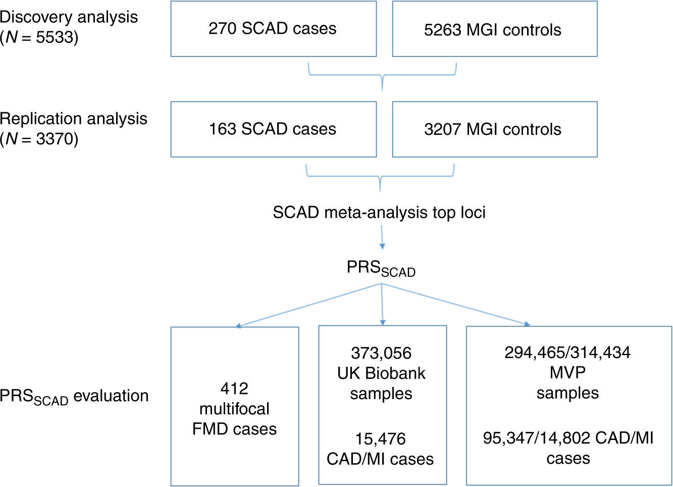 Fig. 1: Discovery study design for the SCAD genome-wide association analysis (GWAS) and PRSSCAD development and testing.