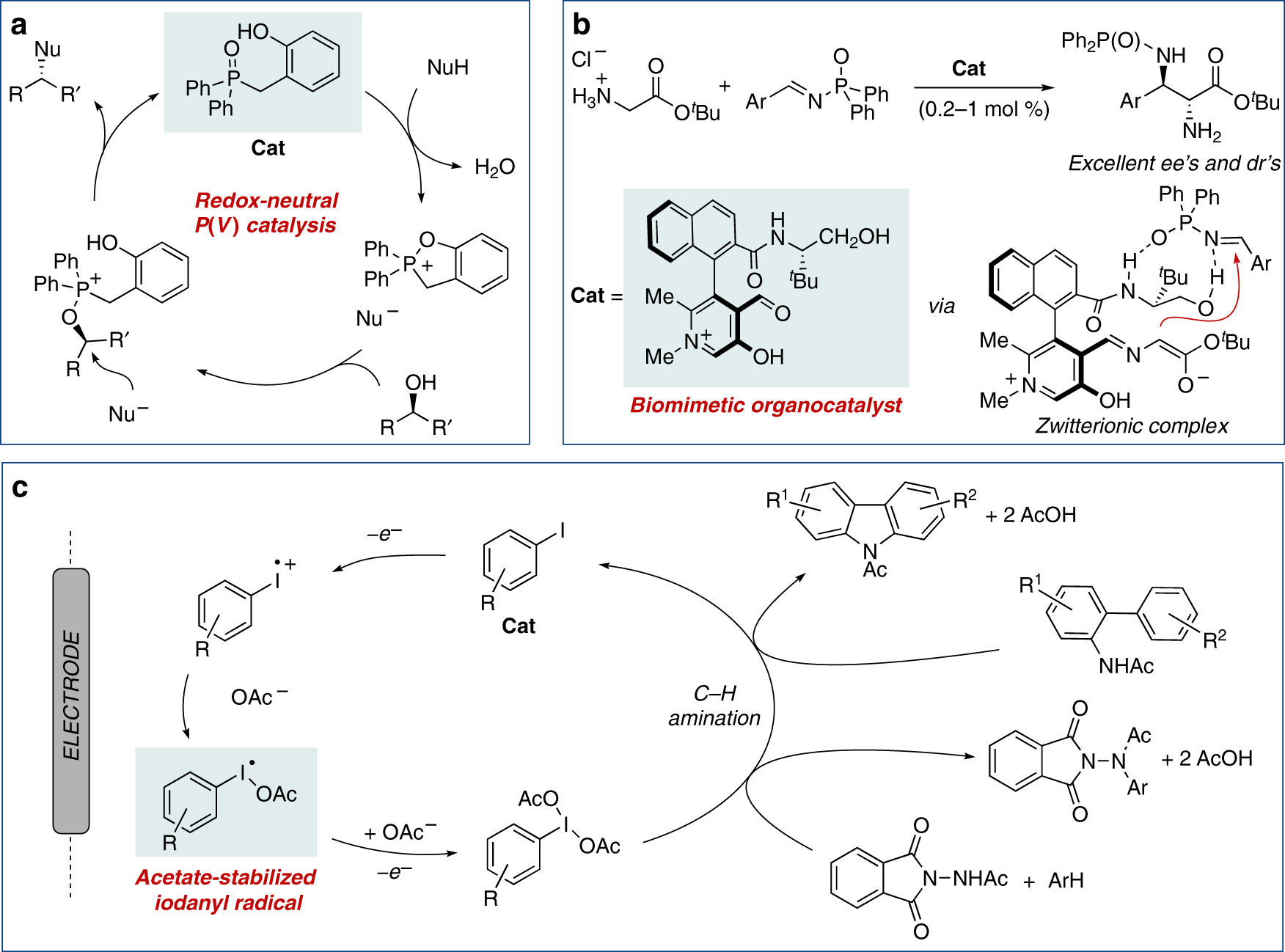Spotting Trends In Organocatalysis For The Next Decade Nature Communications