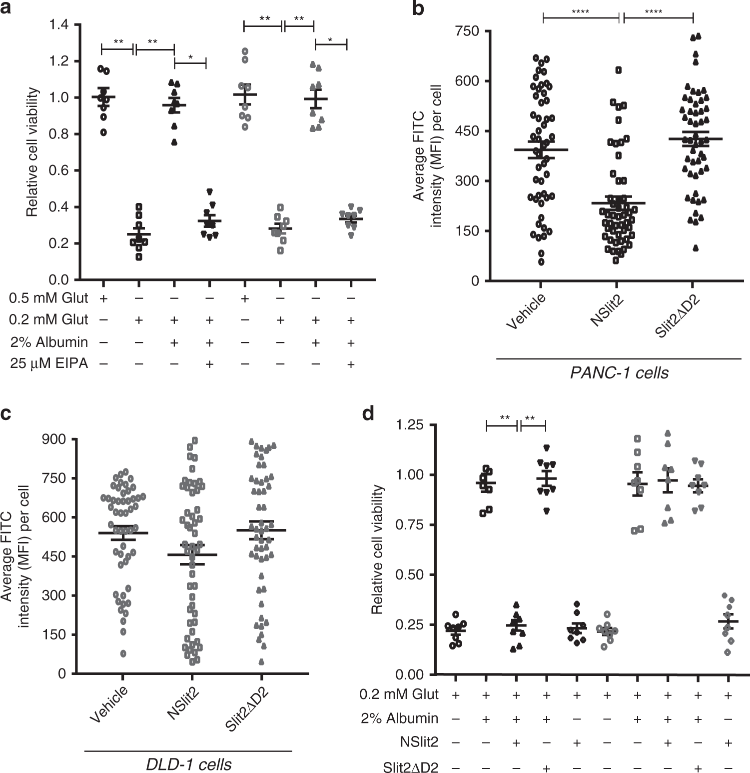 Fig. 6: NSlit2 attenuates protein uptake by macropinocytosis in cancer cells and restricts their growth in a ROBO1-dependent manner.