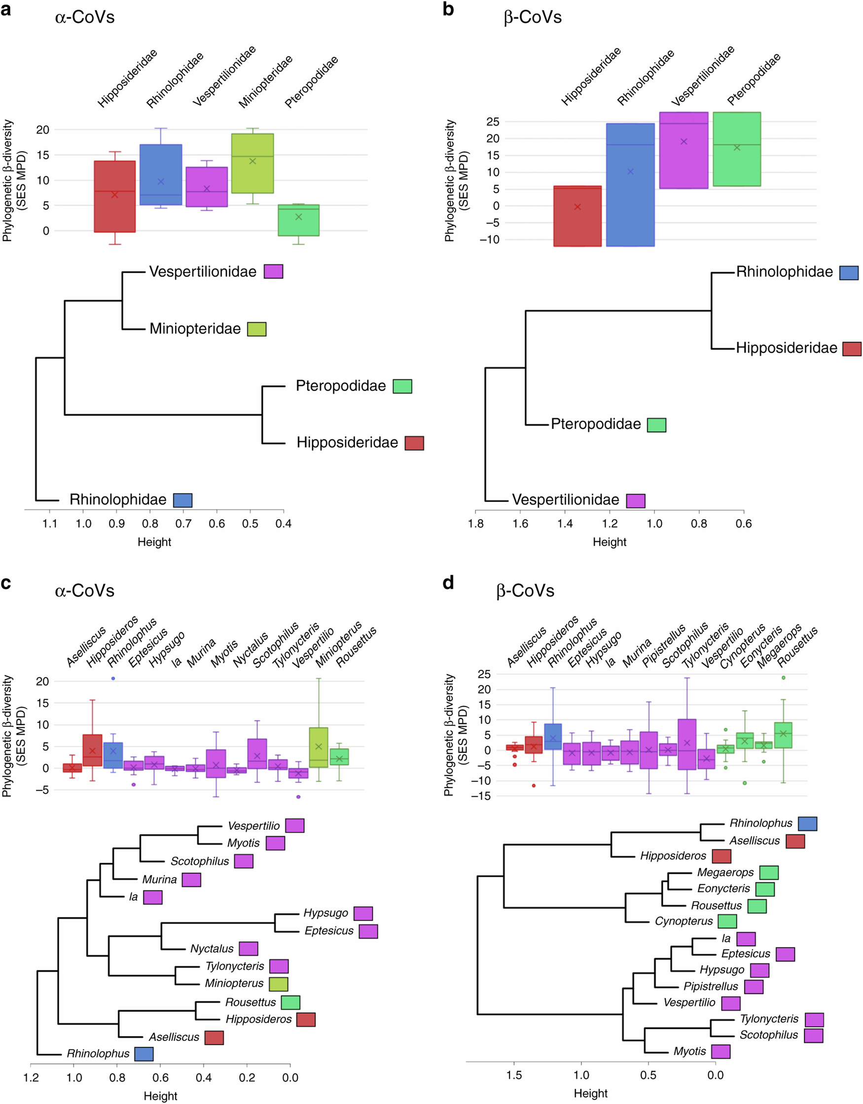 Fig. 8: Phylogenetic diversity.