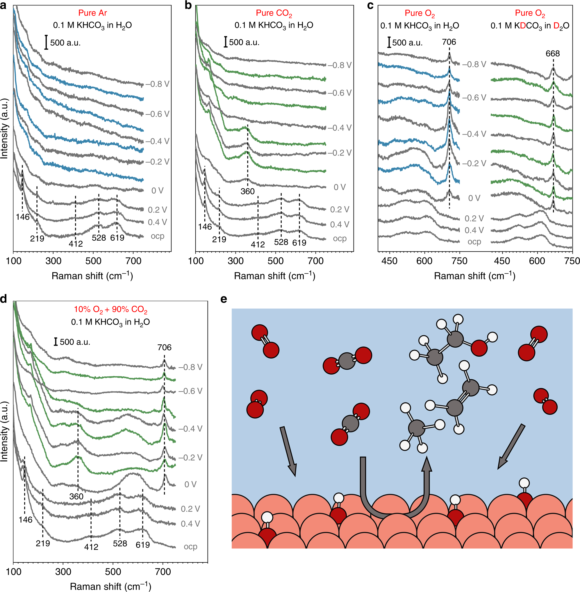 Fig. 3: In situ surface-enhanced Raman spectroscopy.