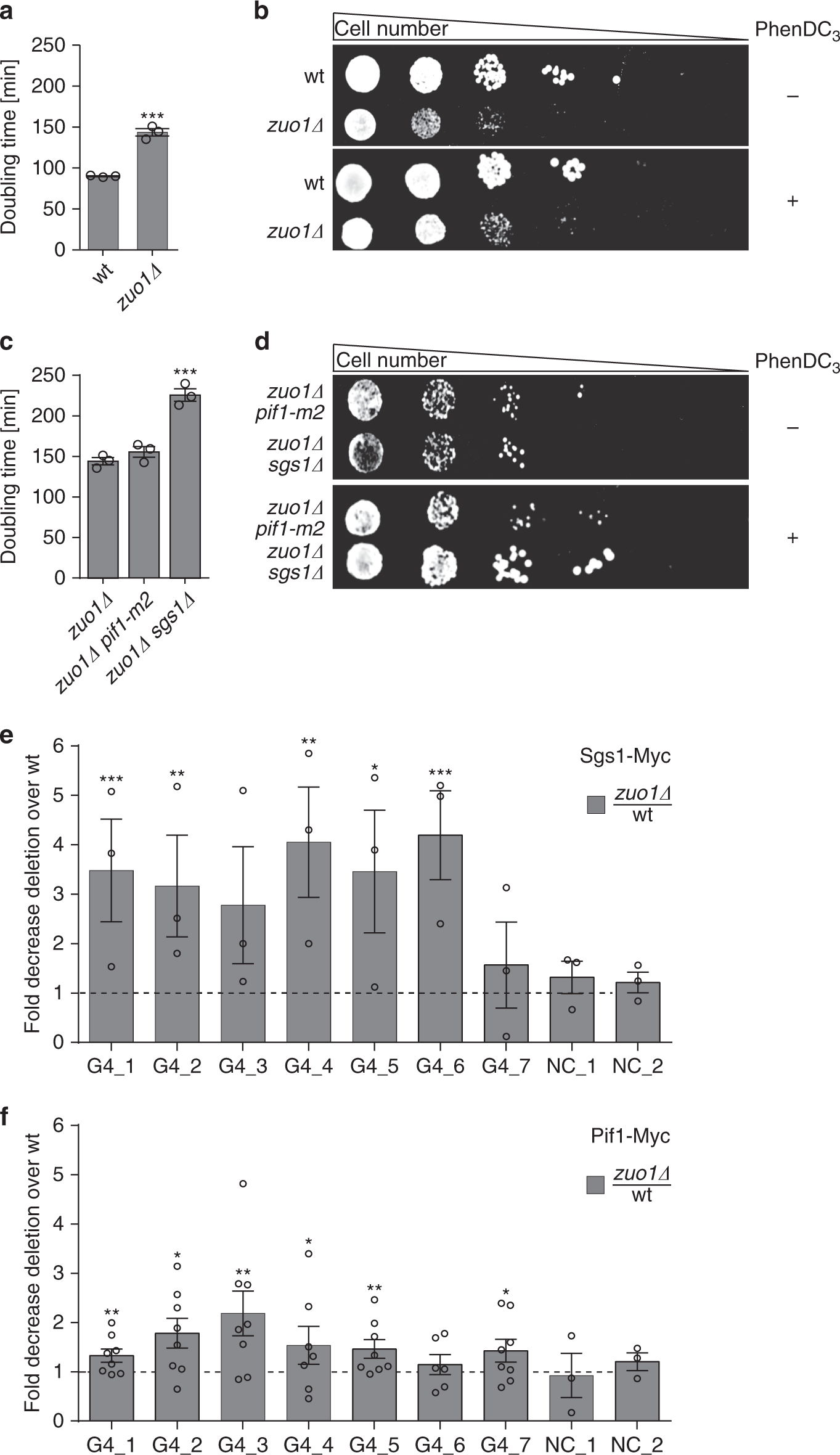 Fig. 3: Zuo1 function at G4 has a positive effect on cellular fitness.