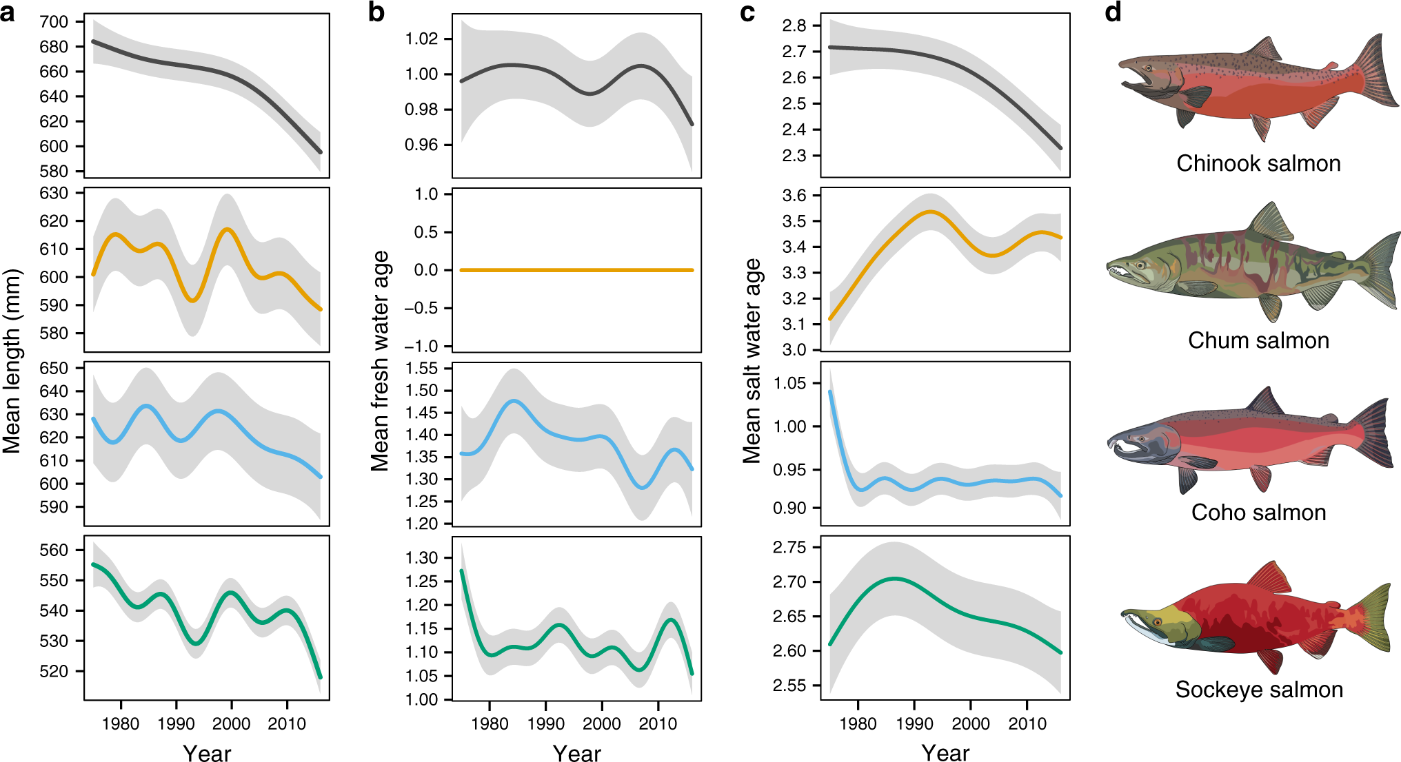 Fig. 2: Body size declines are significant and nonlinear.