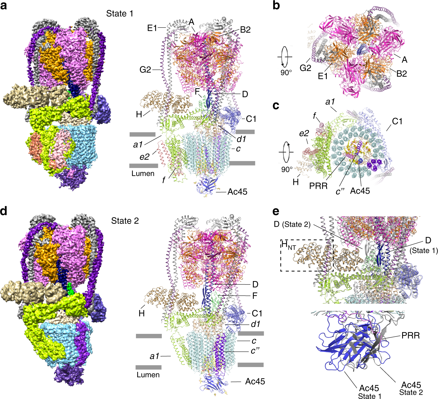 Cryo Em Structures Of Intact V Atpase From Bovine Brain Nature Communications Cryo Em Structures Of Intact V Atpase From Bovine Brain Nature Communications