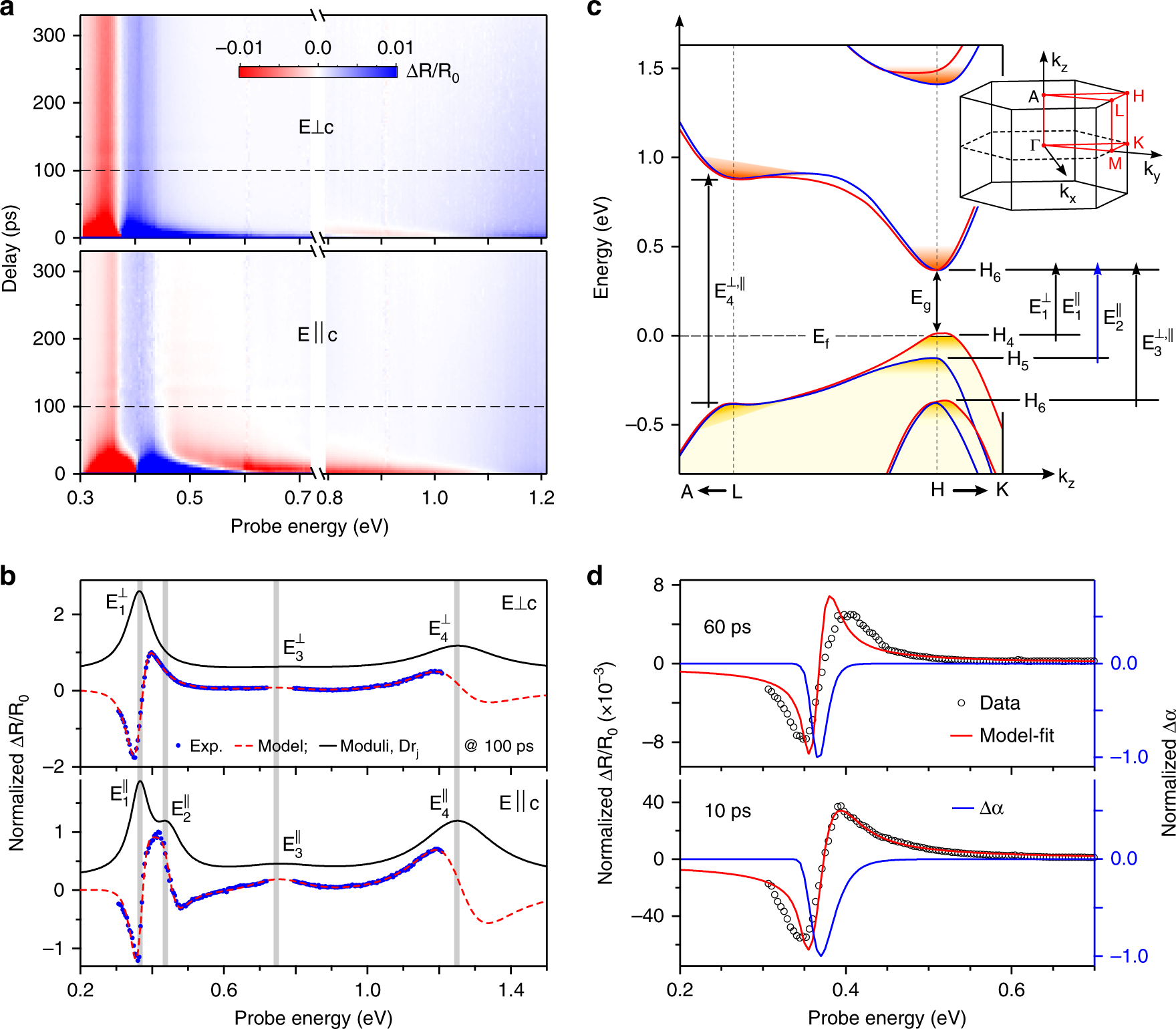 Fig. 2: Polarized spectral map and modeling of the TR response of a Te nanosheet.