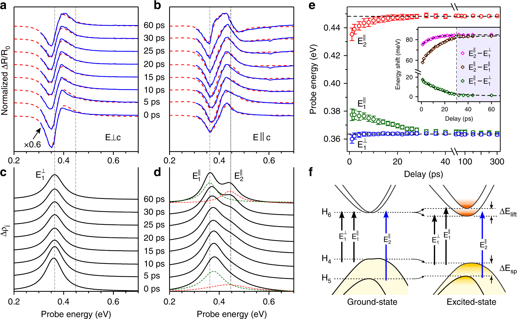 Fig. 3: Transient response of polarized optical transitions in Te nanosheet.
