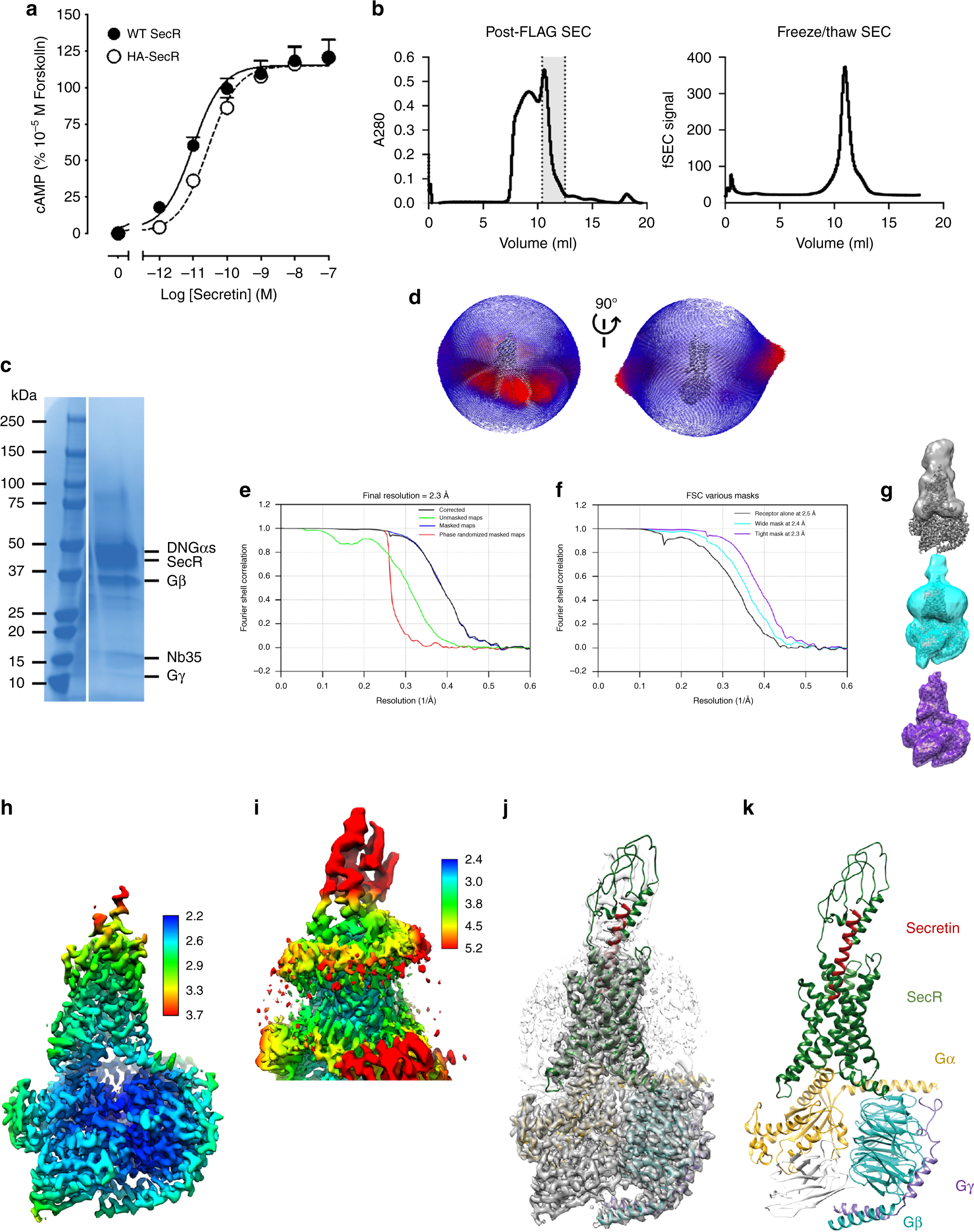 Fig. 1: Cryo-EM structure of the secretin:SecR:DNGαsv2:Nb35 complex.