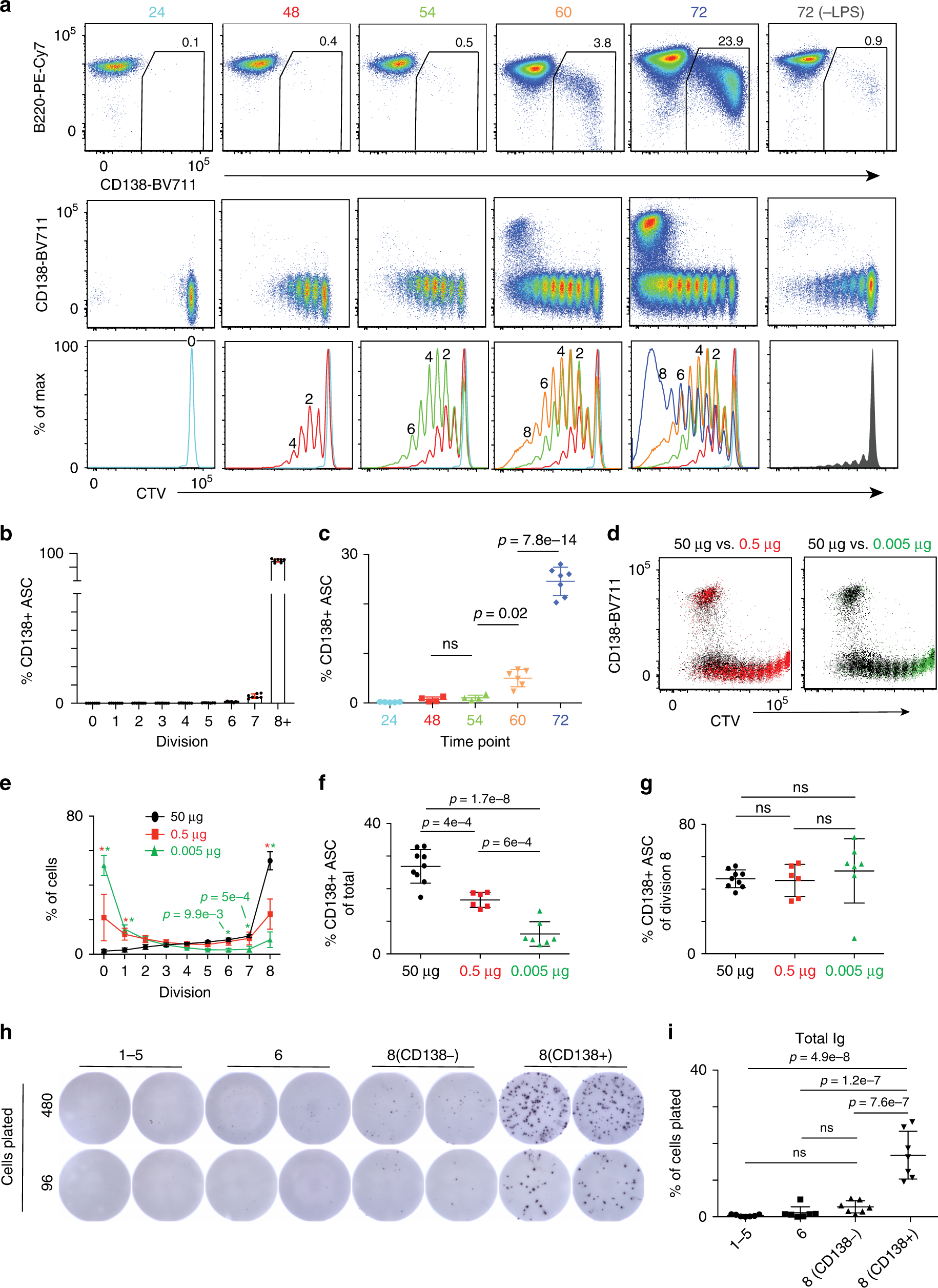 Transcriptional and clonal characterization of B cell plasmablast