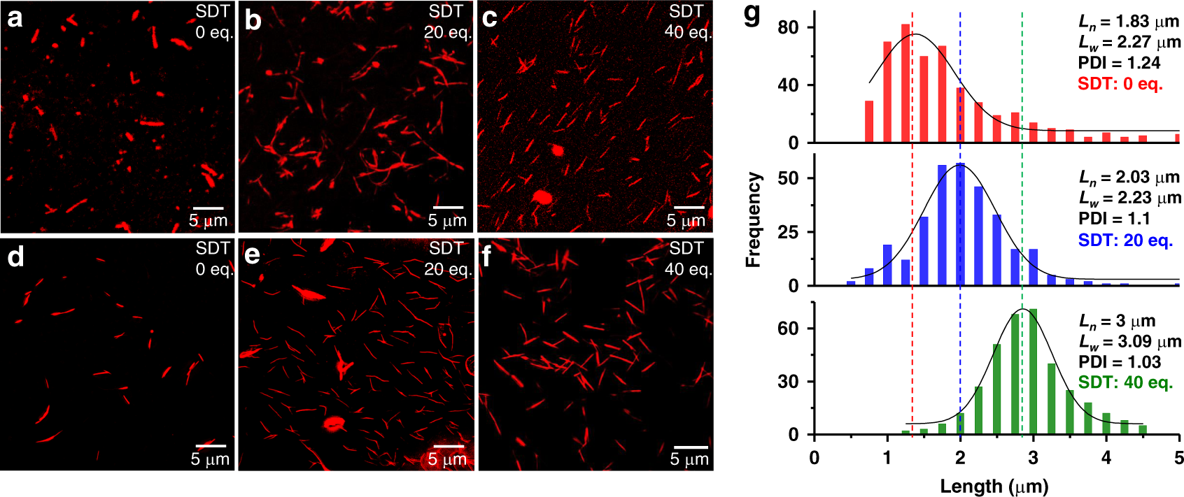Fig. 6: Structural parameters of PNF supramolecular polymers.