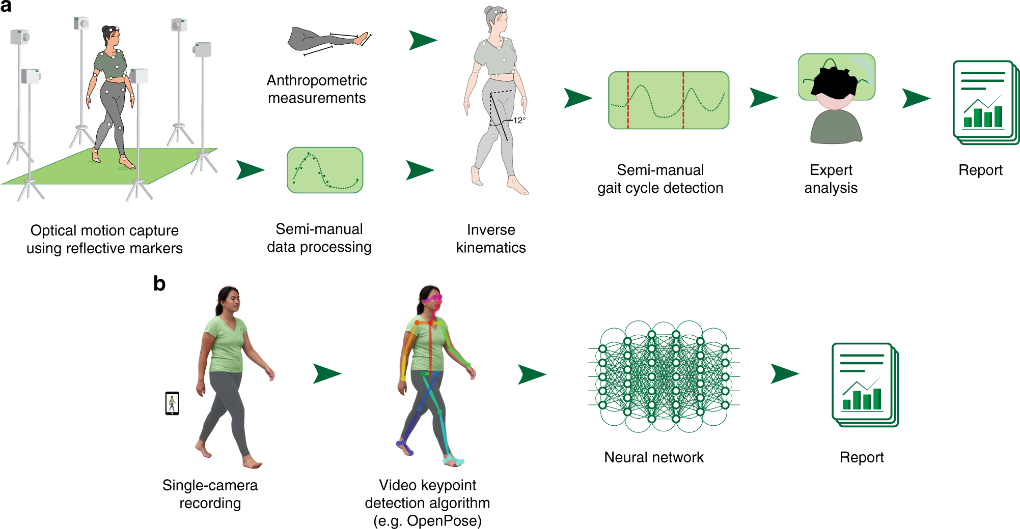 Kaggle X Videos - Deep neural networks enable quantitative movement analysis using  single-camera videos | Nature Communications