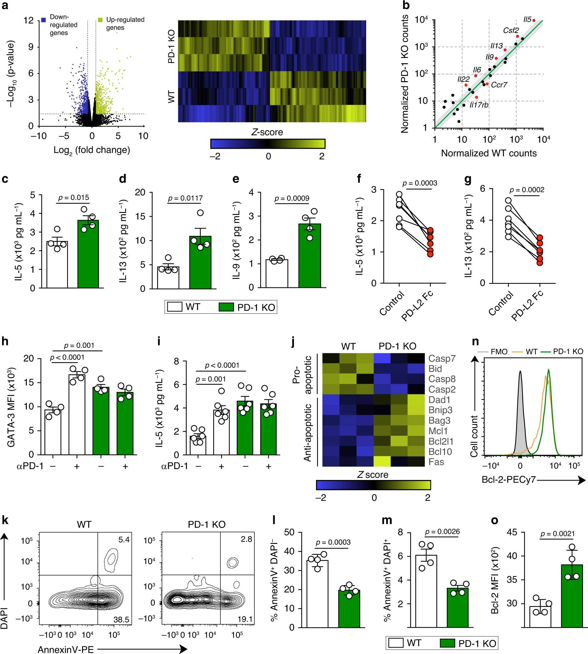 Fig. 2: PD-1 axis controls cytokine production by aILC2s and decreases their survival.