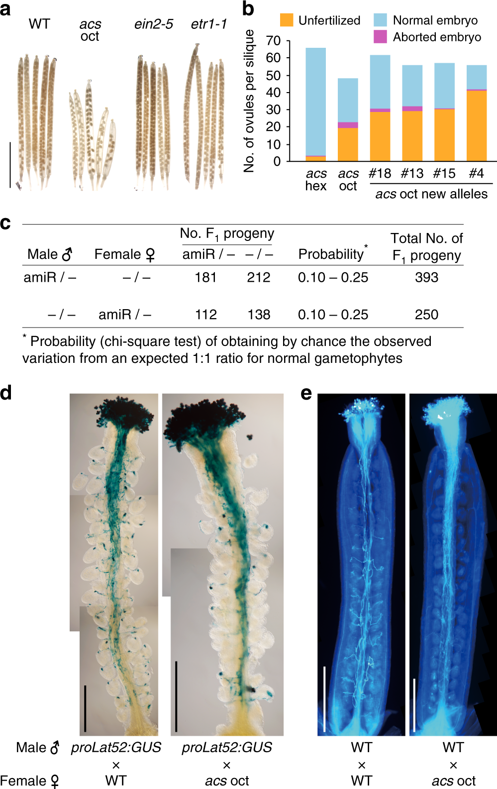 Ethylene-independent signaling by the ethylene precursor ACC in Arabidopsis ovular pollen tube attraction Nature Communications