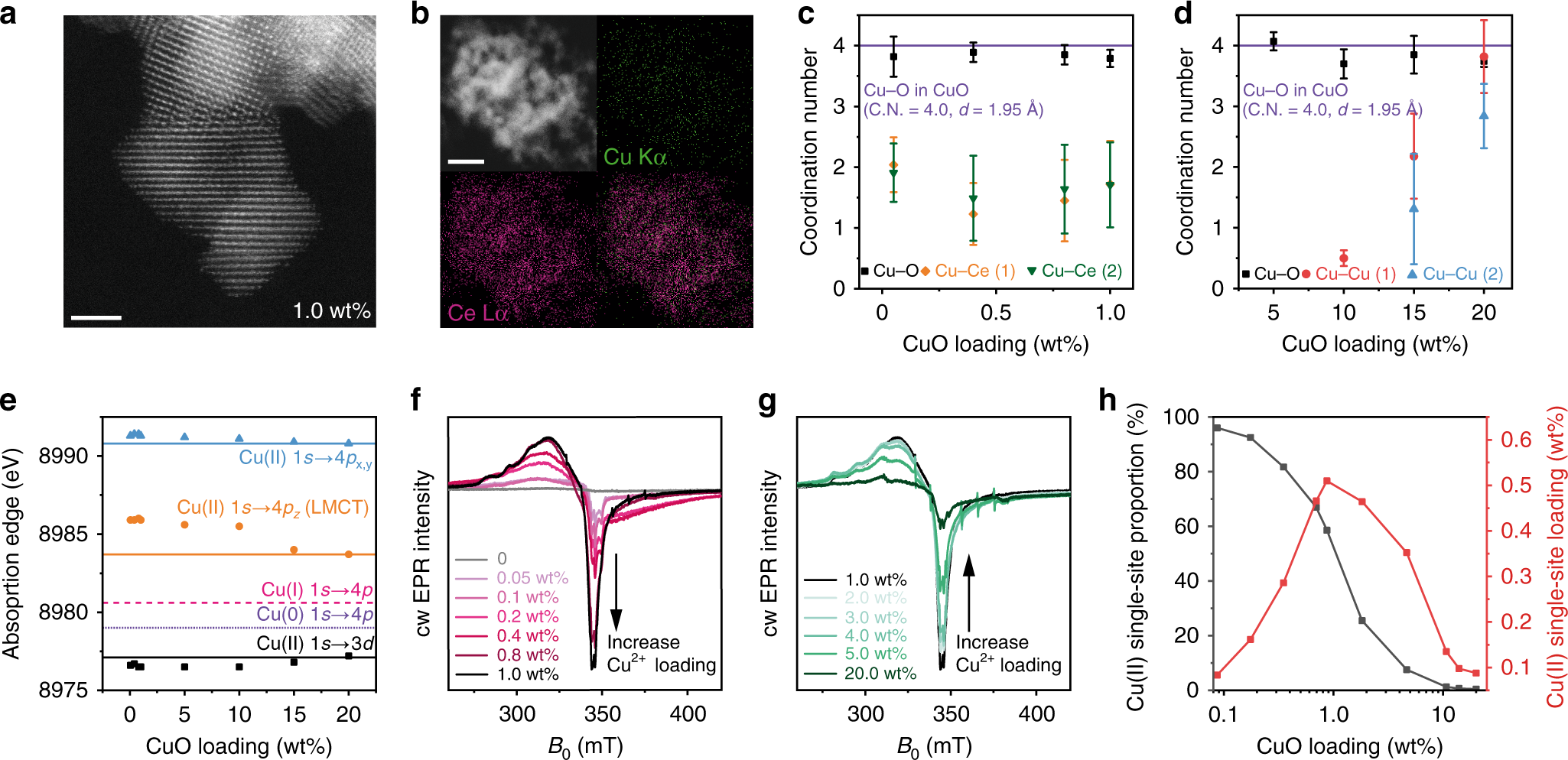 Fig. 2: Structure and quantification of atomic Cu(II) site.