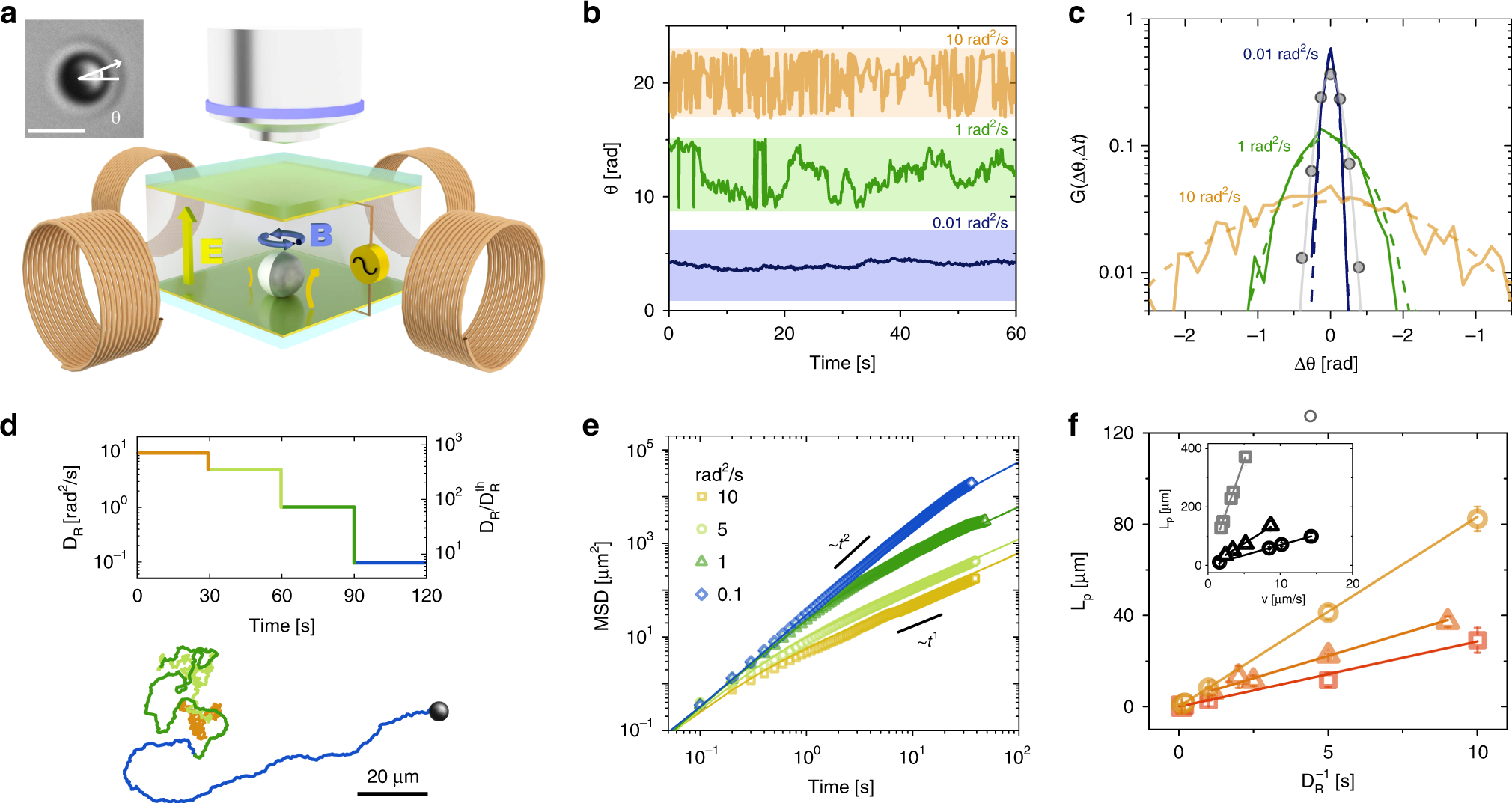 Feedback-controlled active brownian colloids with space-dependent  rotational dynamics | Nature Communications
