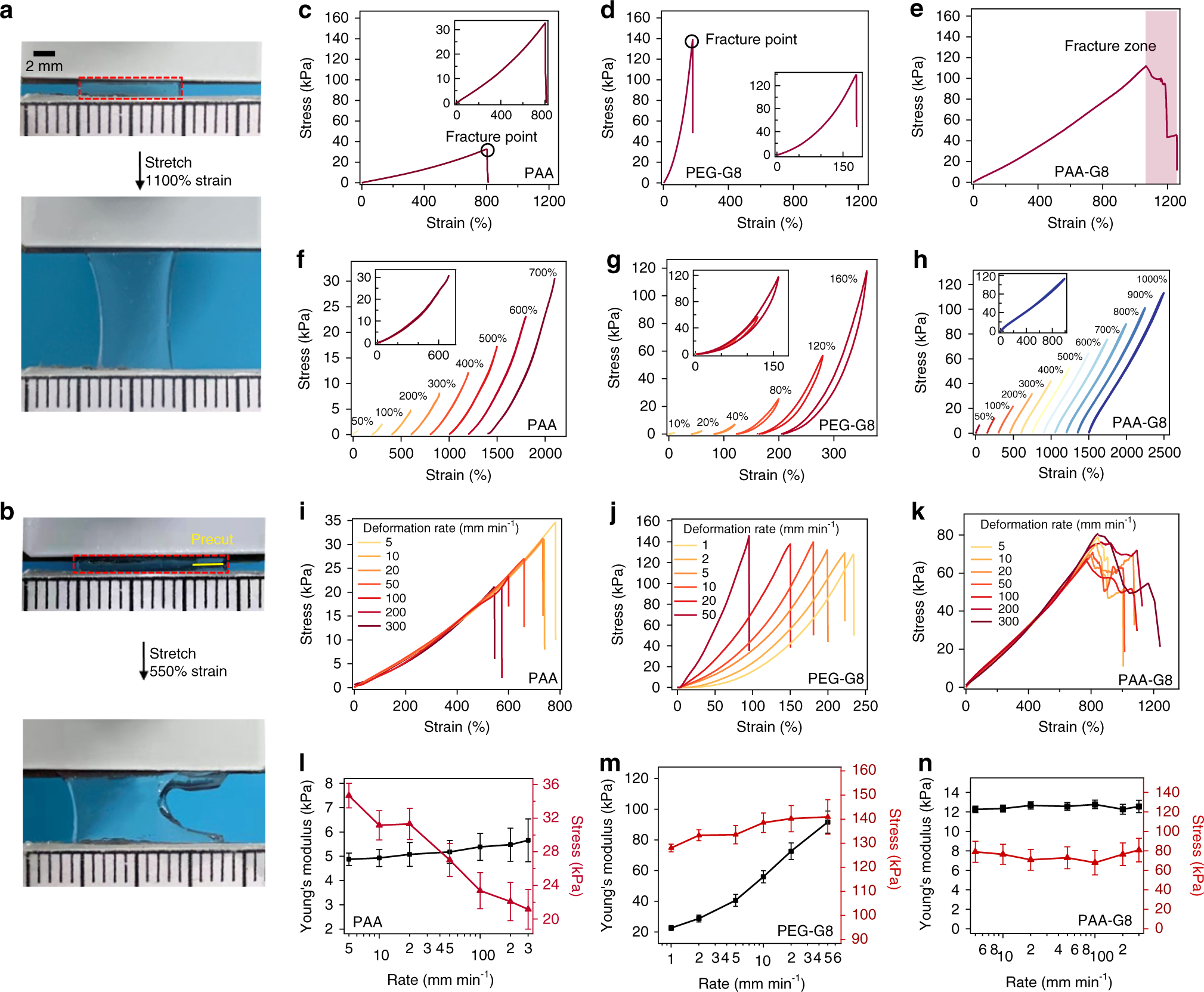 Fig. 2: The bulk mechanical properties of the designed hydrogels.