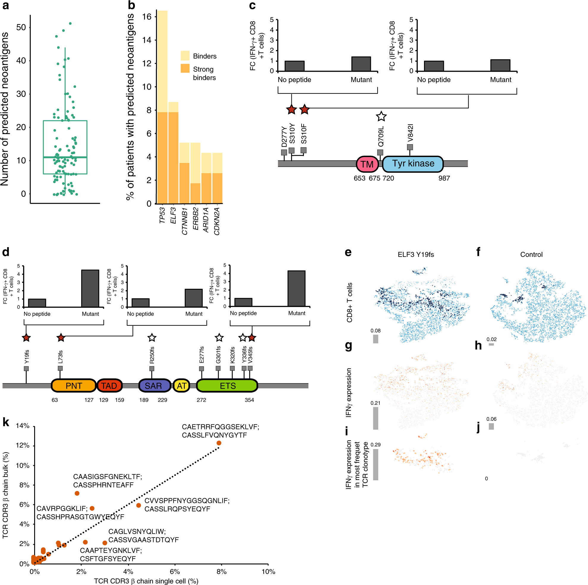 Fig. 3: Neoantigens in GBC.