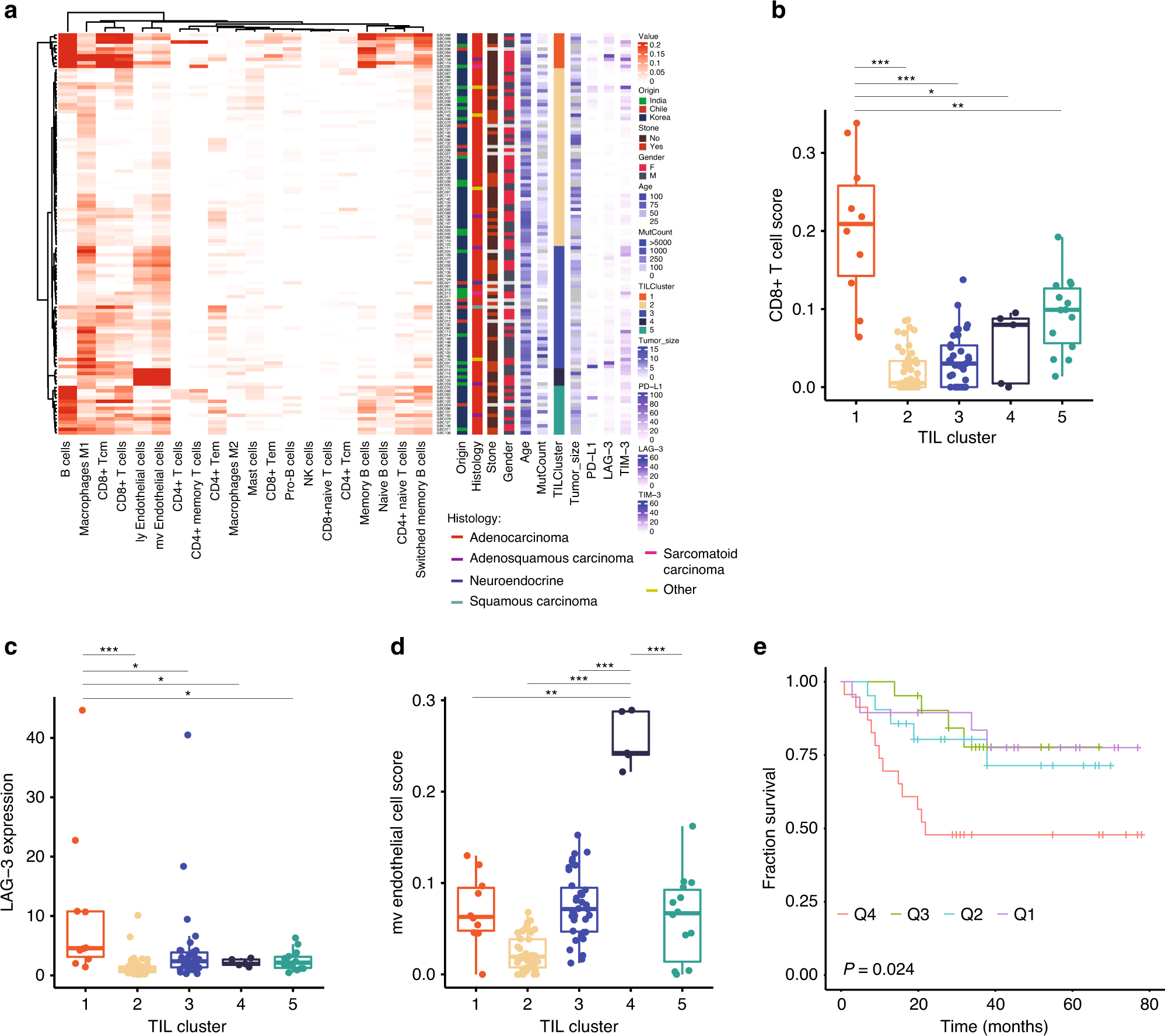 Fig. 4: Tumor-infiltrating lymphocyte cluster (TIL) in GBC samples.