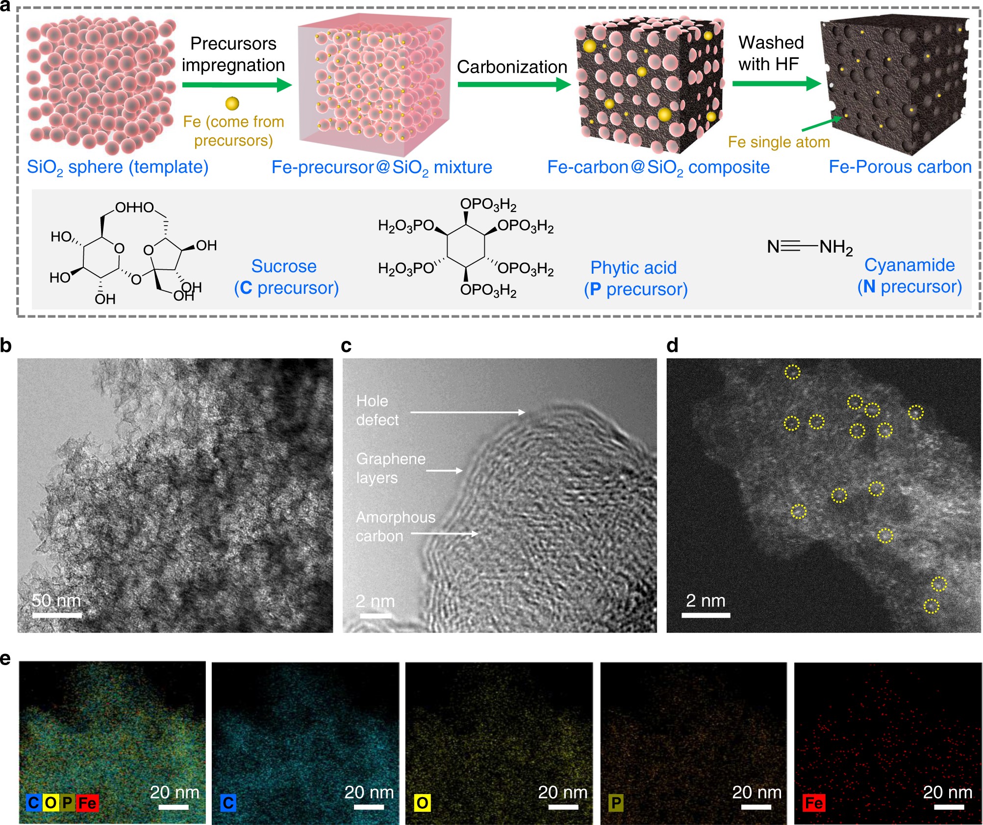 A Carbon-Phosphorus Bond in Nature