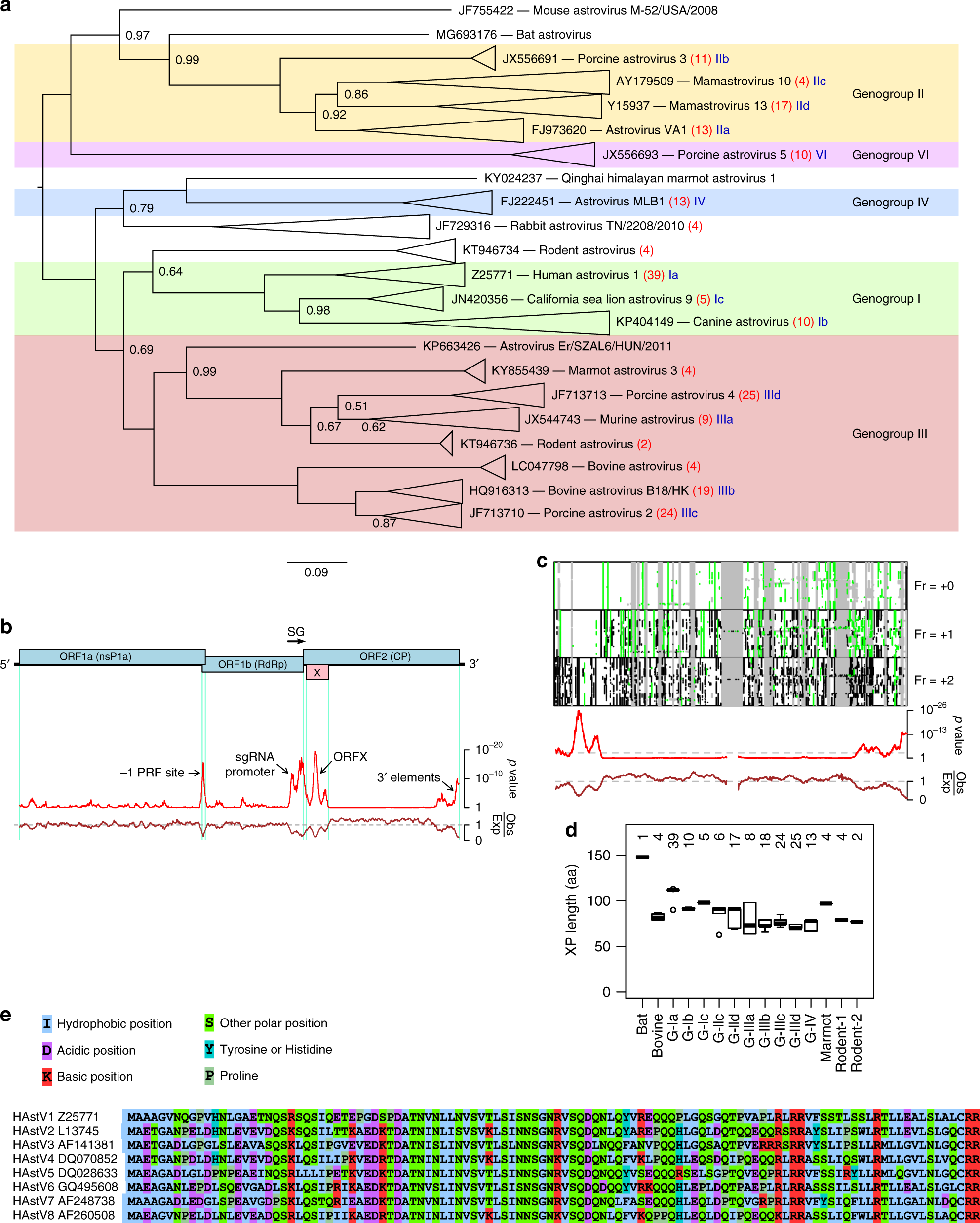 A Hidden Gene In Astroviruses Encodes A Viroporin Nature Communications