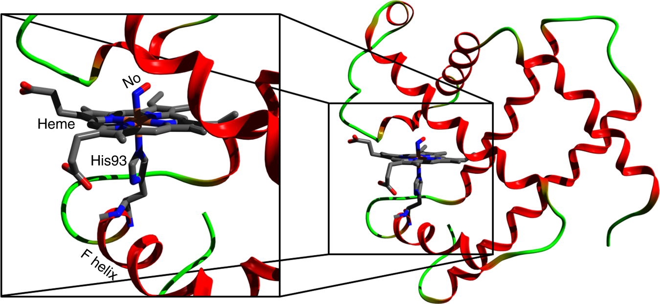 Femtosecond X Ray Emission Study Of The Spin Cross Over Dynamics In Haem Proteins Nature Communications Femtosecond X Ray Emission Study Of The Spin Cross Over Dynamics In Haem Proteins Nature Communications