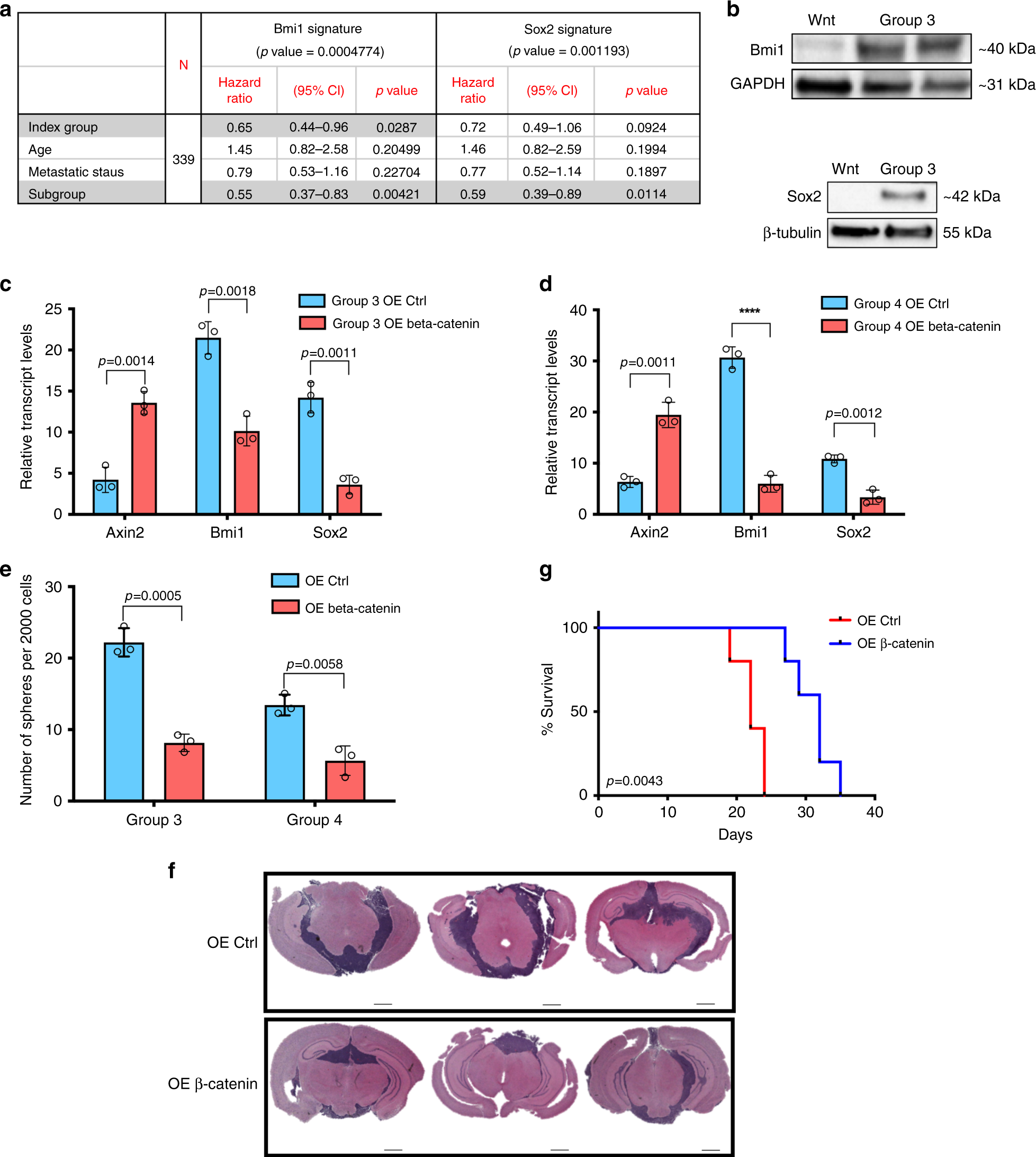 Fig. 1: Ectopic expression of β-catenin in treatment-refractory MBs reduces self-renewal gene expression and tumor burden while increasing overall survival.