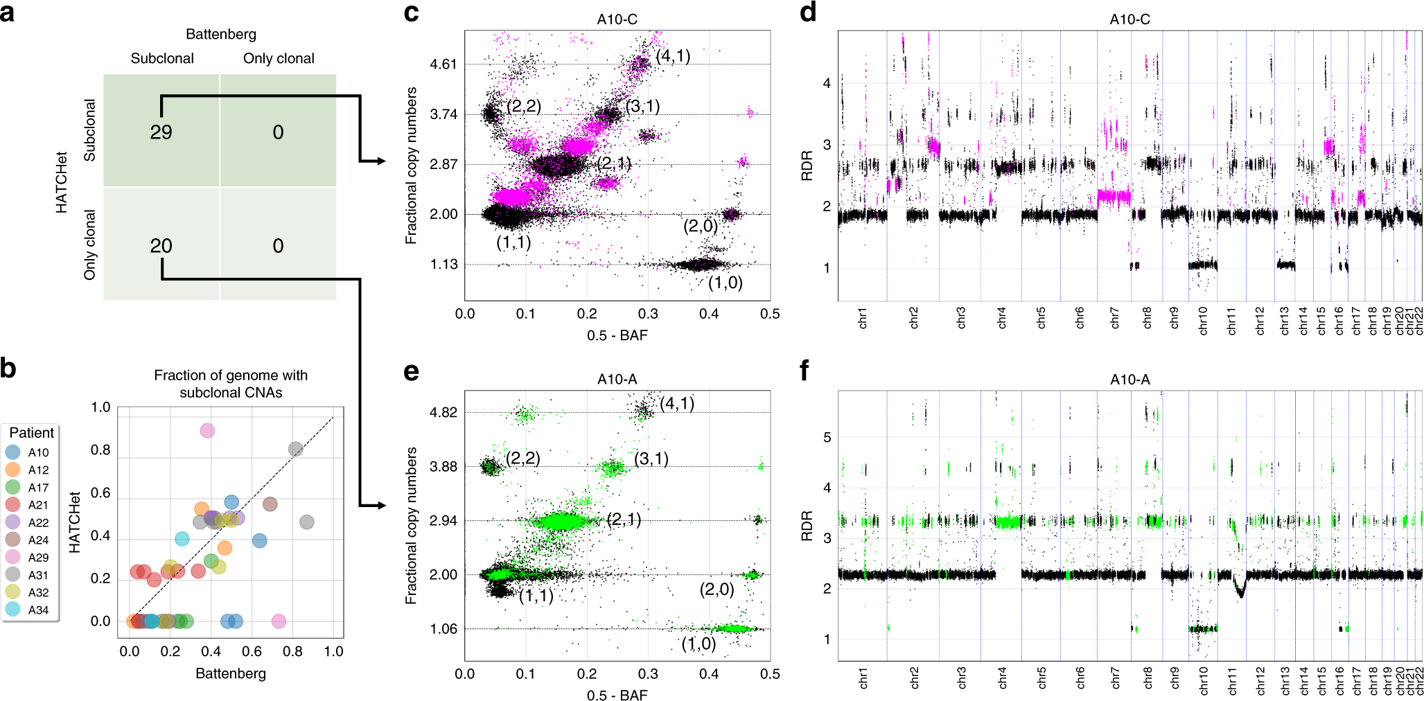 Fig. 3: HATCHet identifies moderate amount of subclonal CNAs in prostate cancer patients.