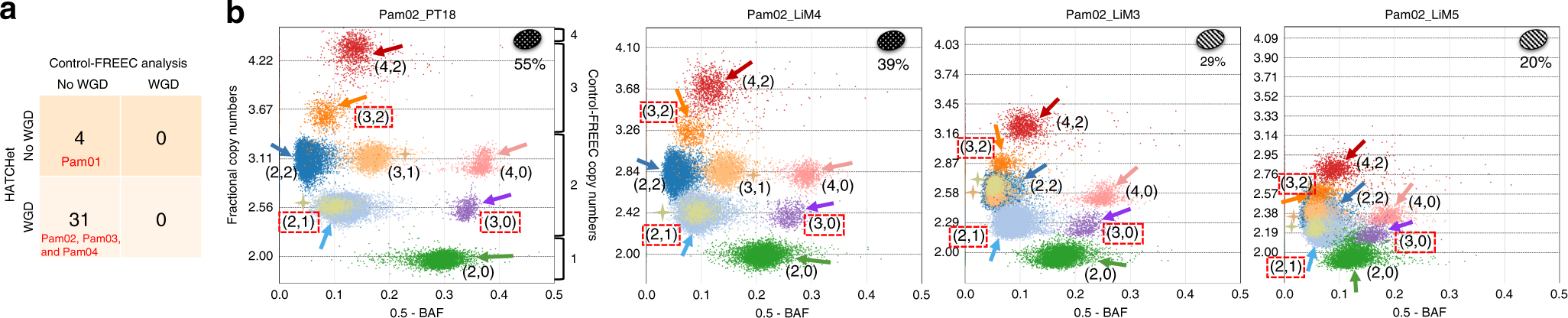 Fig. 5: HATCHet identifies WGDs in three of four pancreas cancer patients.