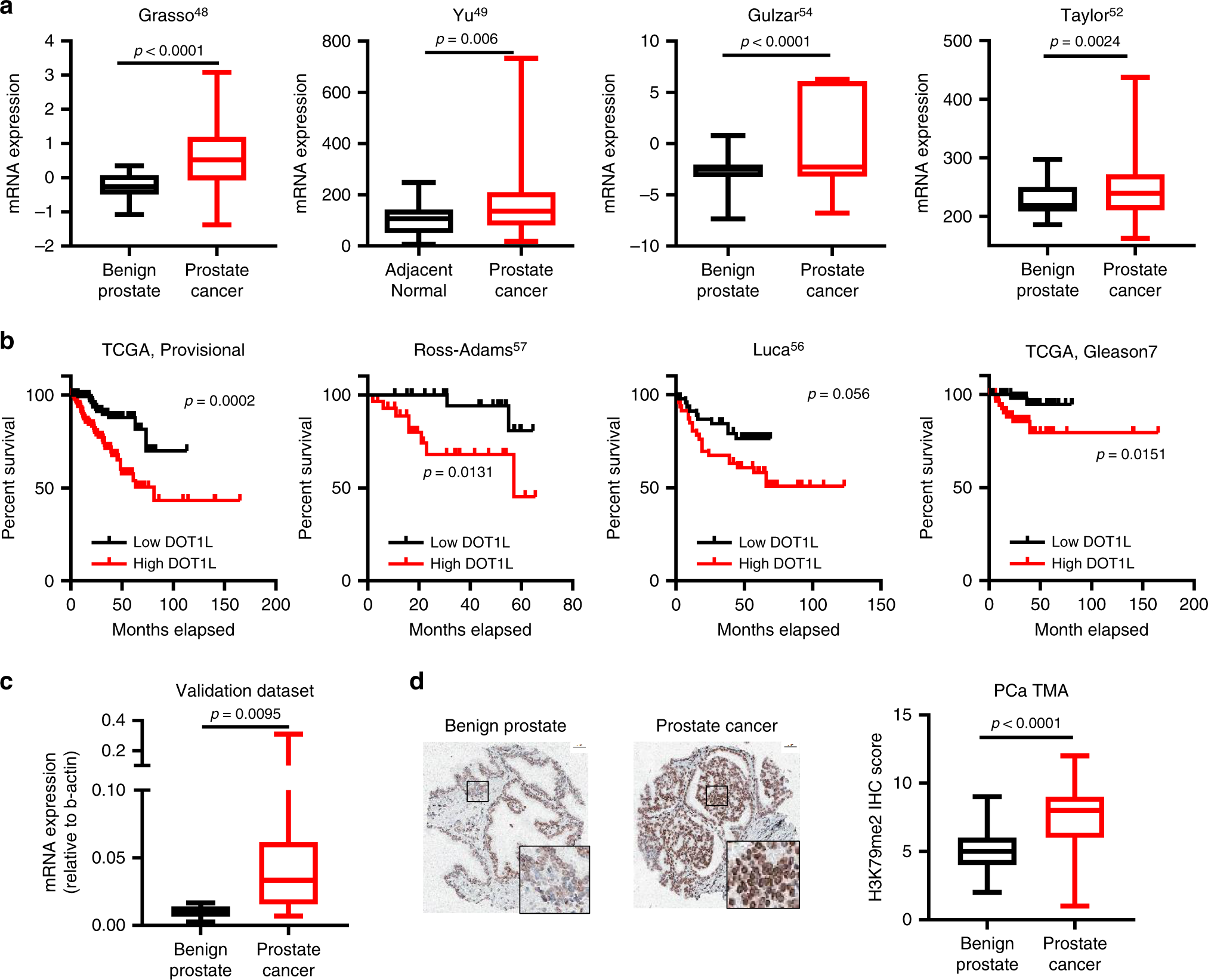 histone methyltransferase dot1l coordinates ar and myc stability in prostate cancer nature communications