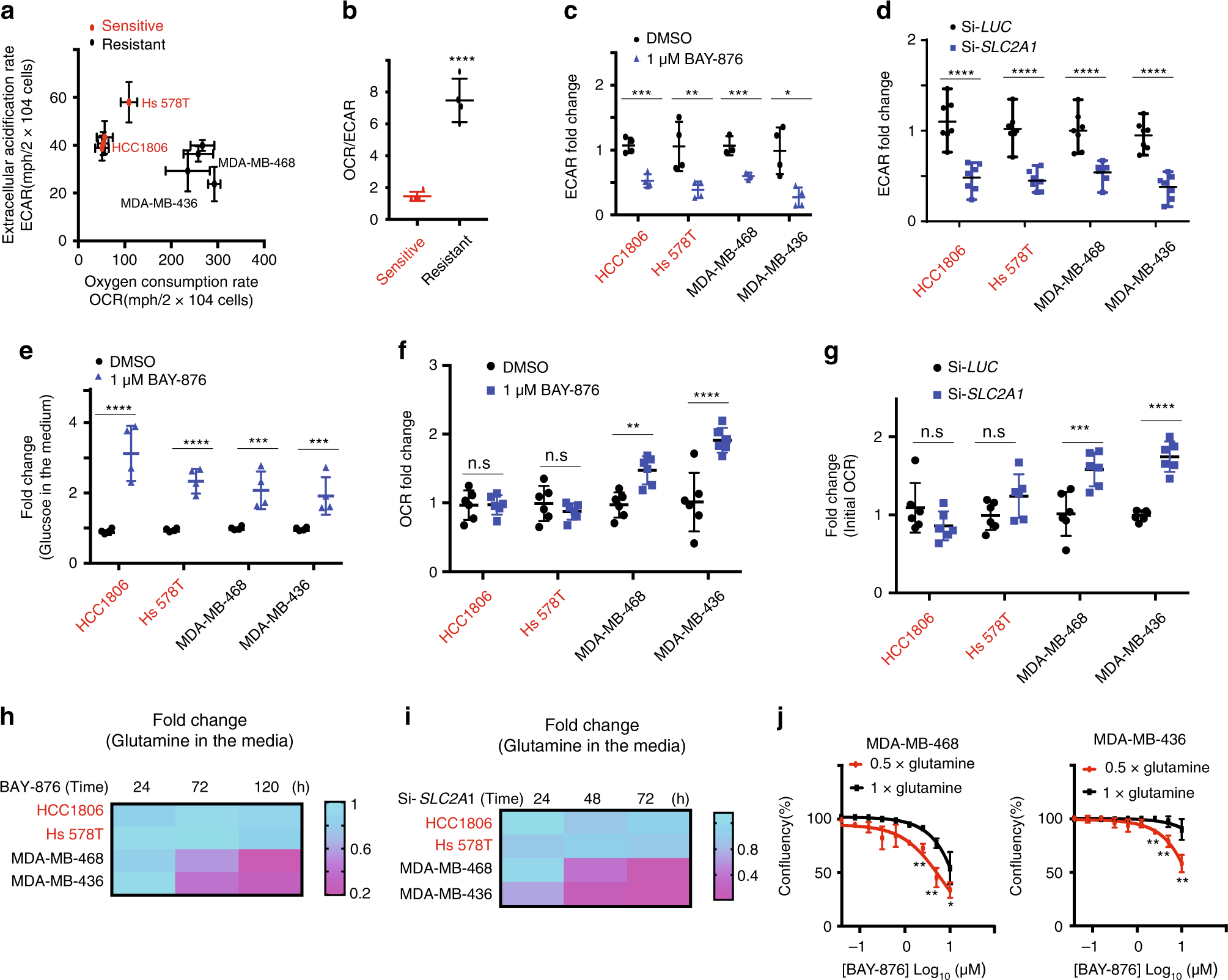 Fig. 2: OXPHOS levels correlate with the response to GLUT1 inhibition.