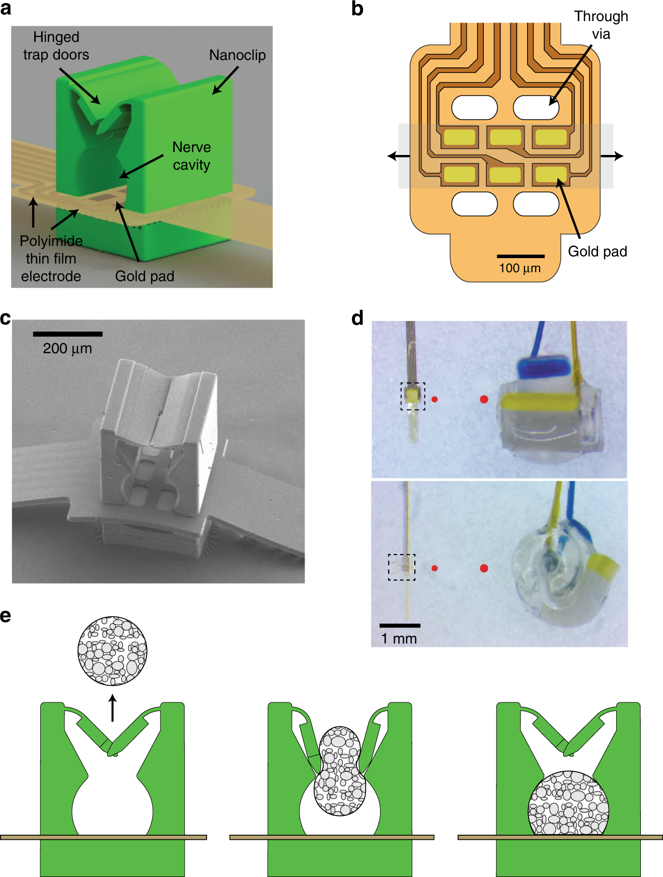 Soft Printable Electrode Coating for Neural Interfaces