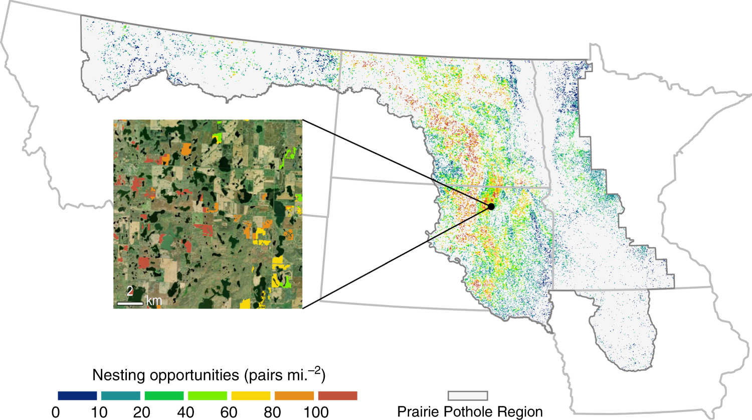 Fig. 5: Estimated duck breeding pair accessibility of land converted to crop production in the Prairie Pothole Region of the northern US, 2008–16.