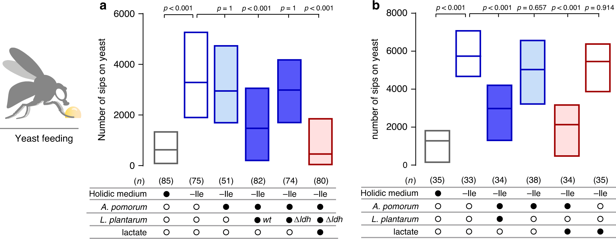 Fig. 4: Lactate production by Lp is necessary and sufficient to reduce yeast appetite in the presence of Ap.