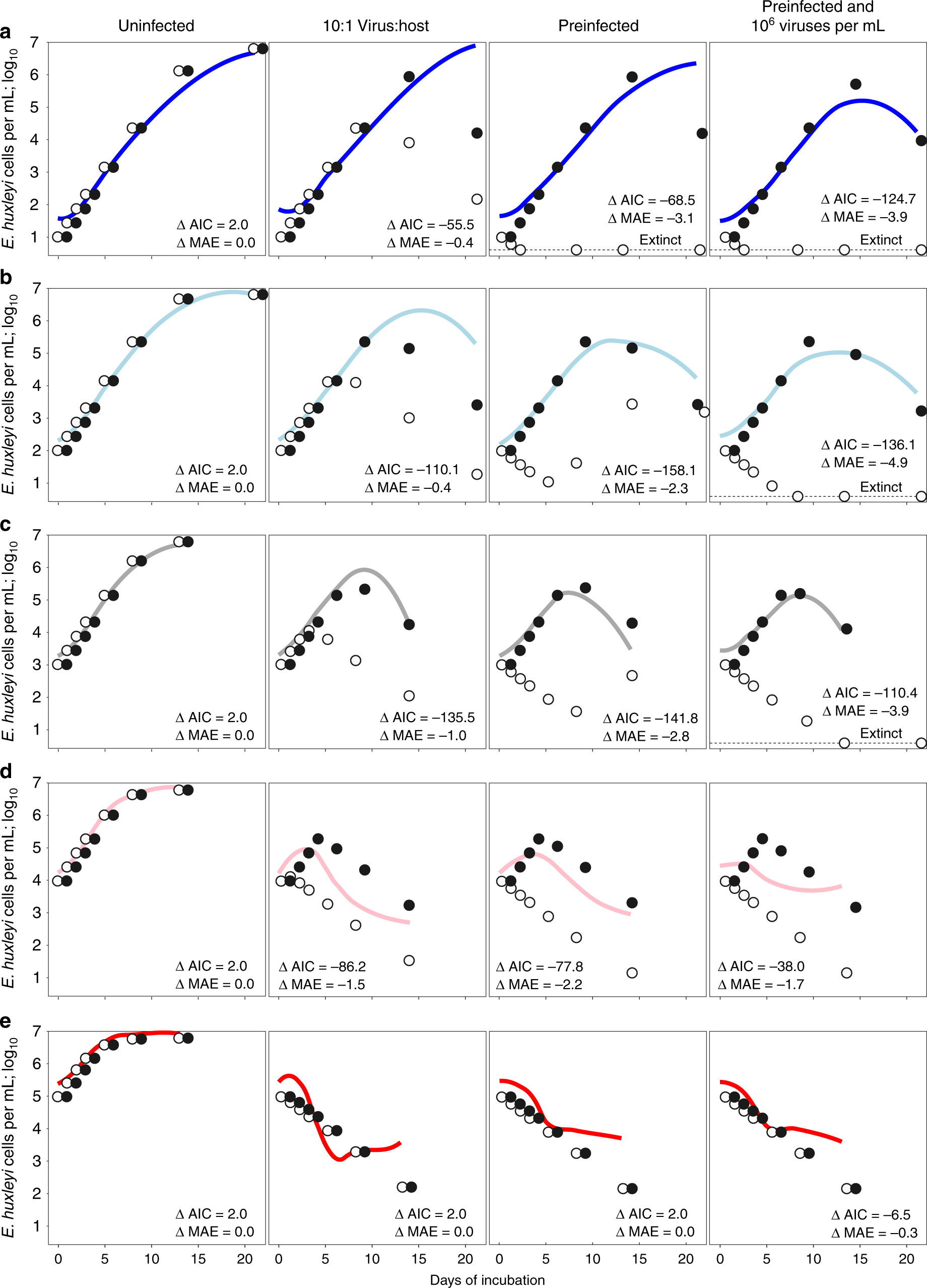 Fig. 3: Culture dynamics reflect temperate rather than virulent infection.