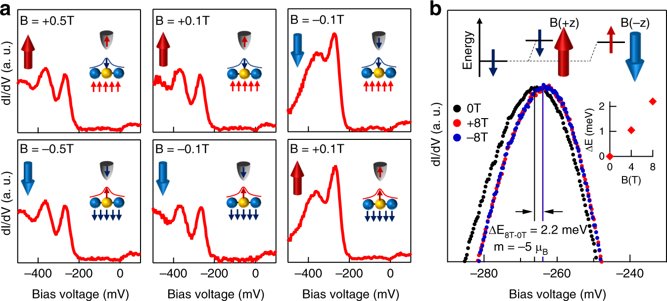 Fig. 2