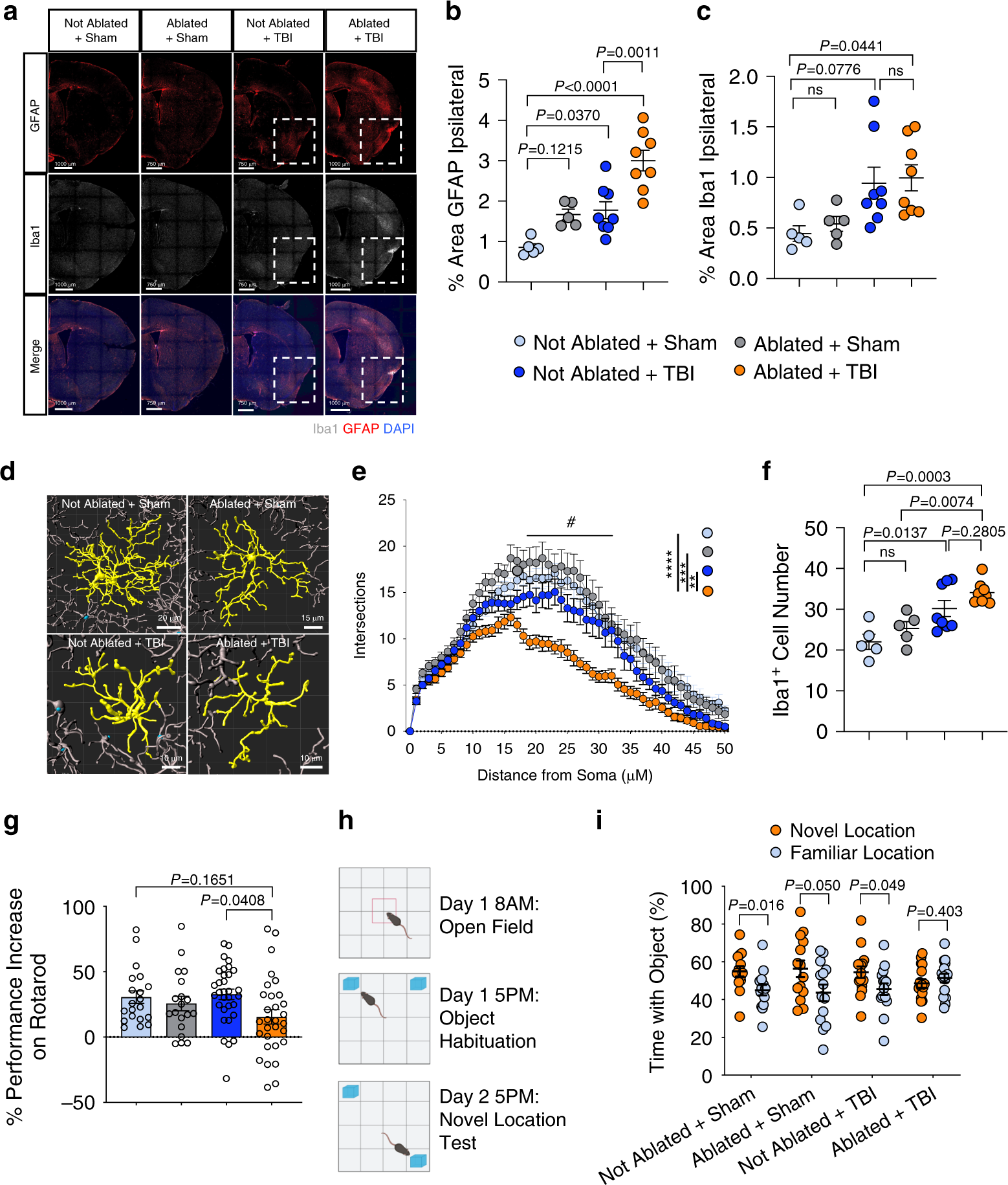 Fig. 6: Prior lymphatic defects lead to exacerbated TBI-induced inflammation and cognitive decline.