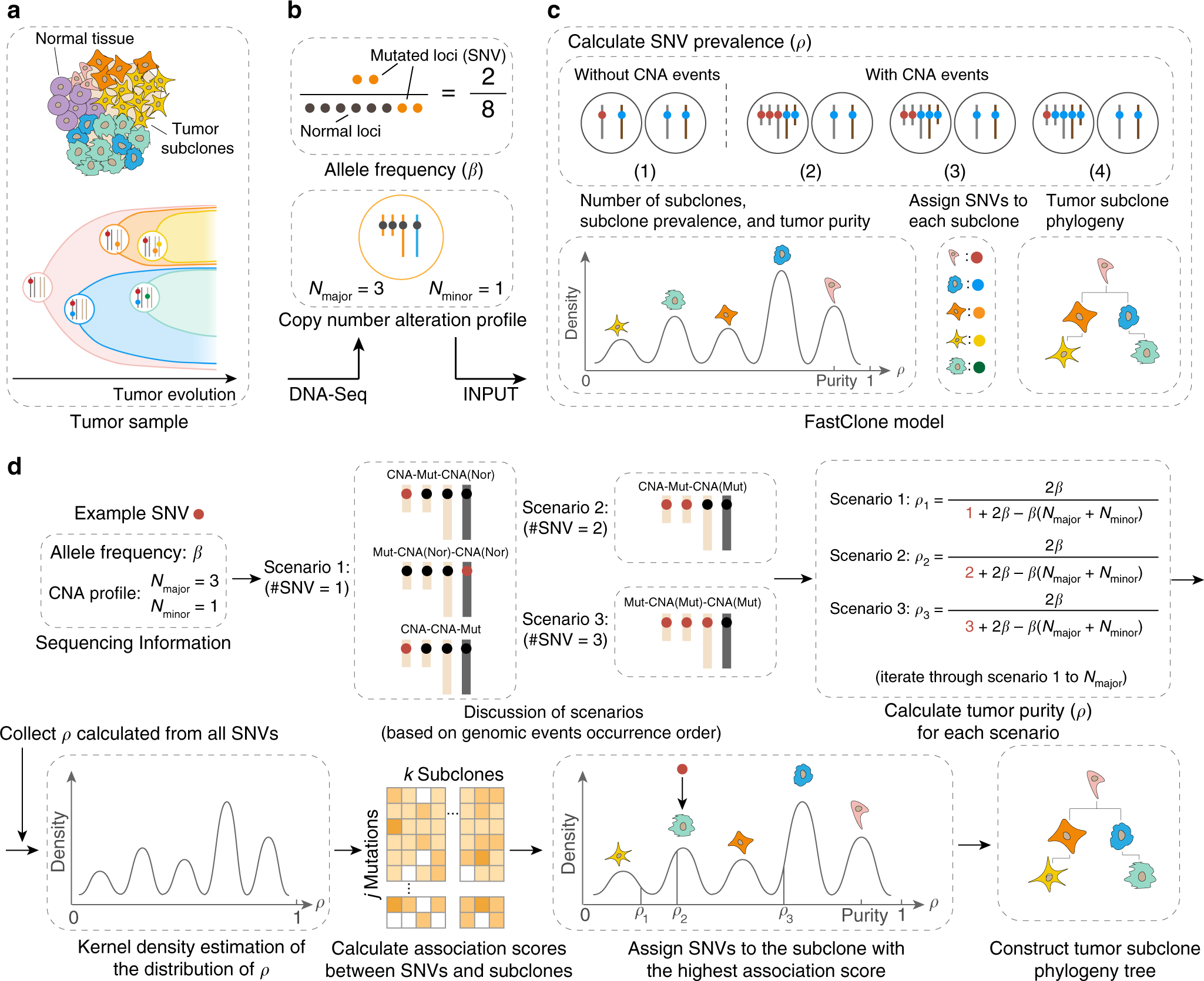 Fastclone Is A Probabilistic Tool For Deconvoluting Tumor Heterogeneity In Bulk Sequencing Samples Nature Communications